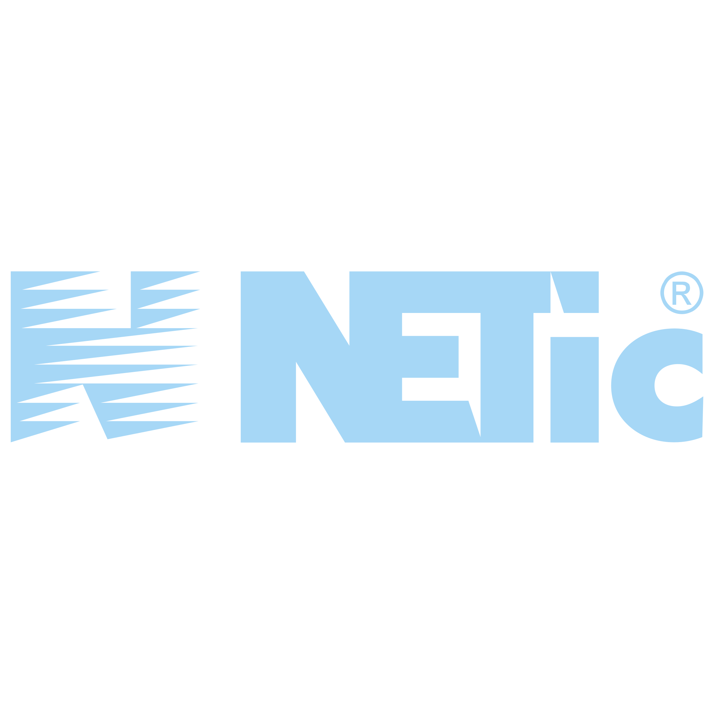 Netic Logo png transparent