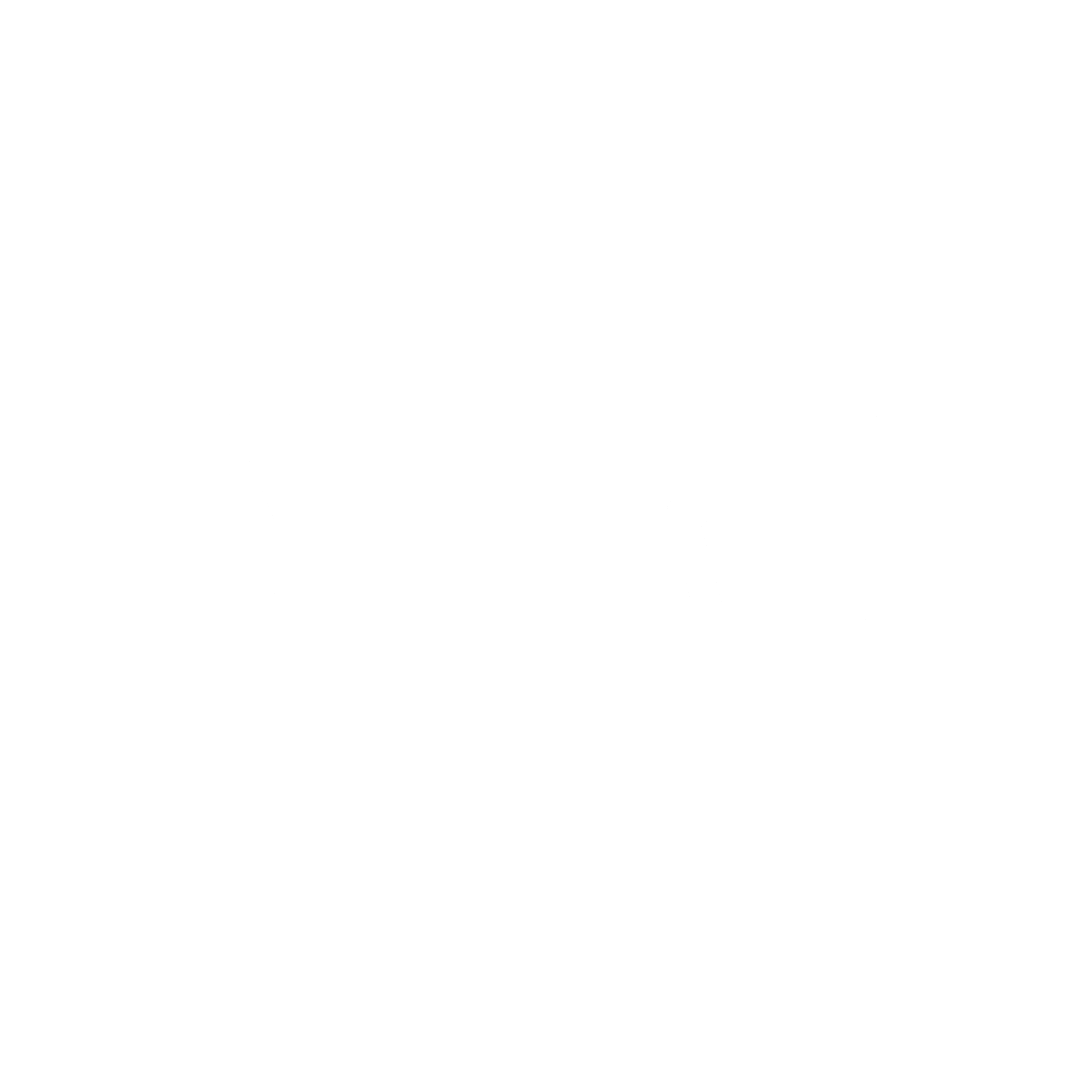 Netro Logo black and white