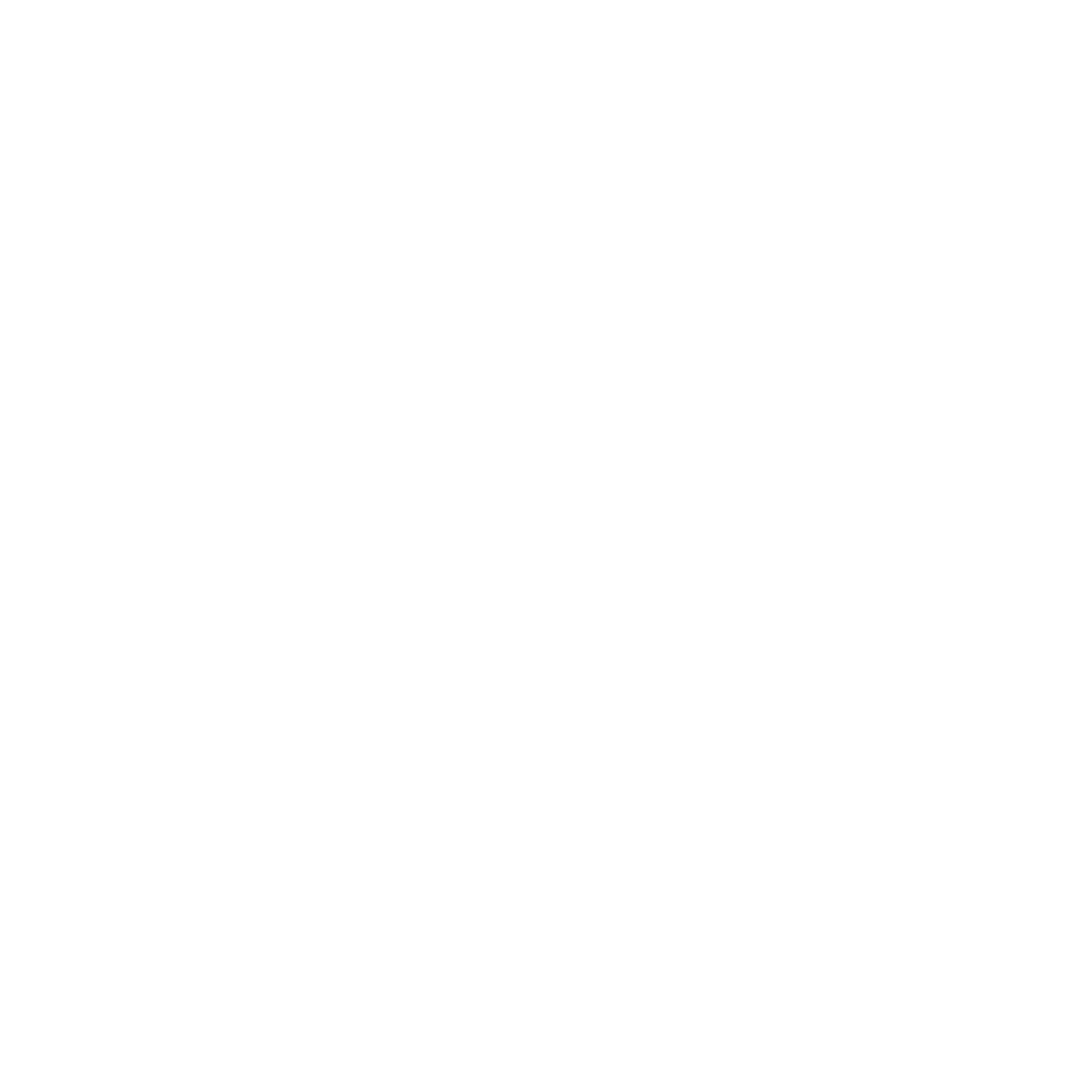 NetZero Logo black and white
