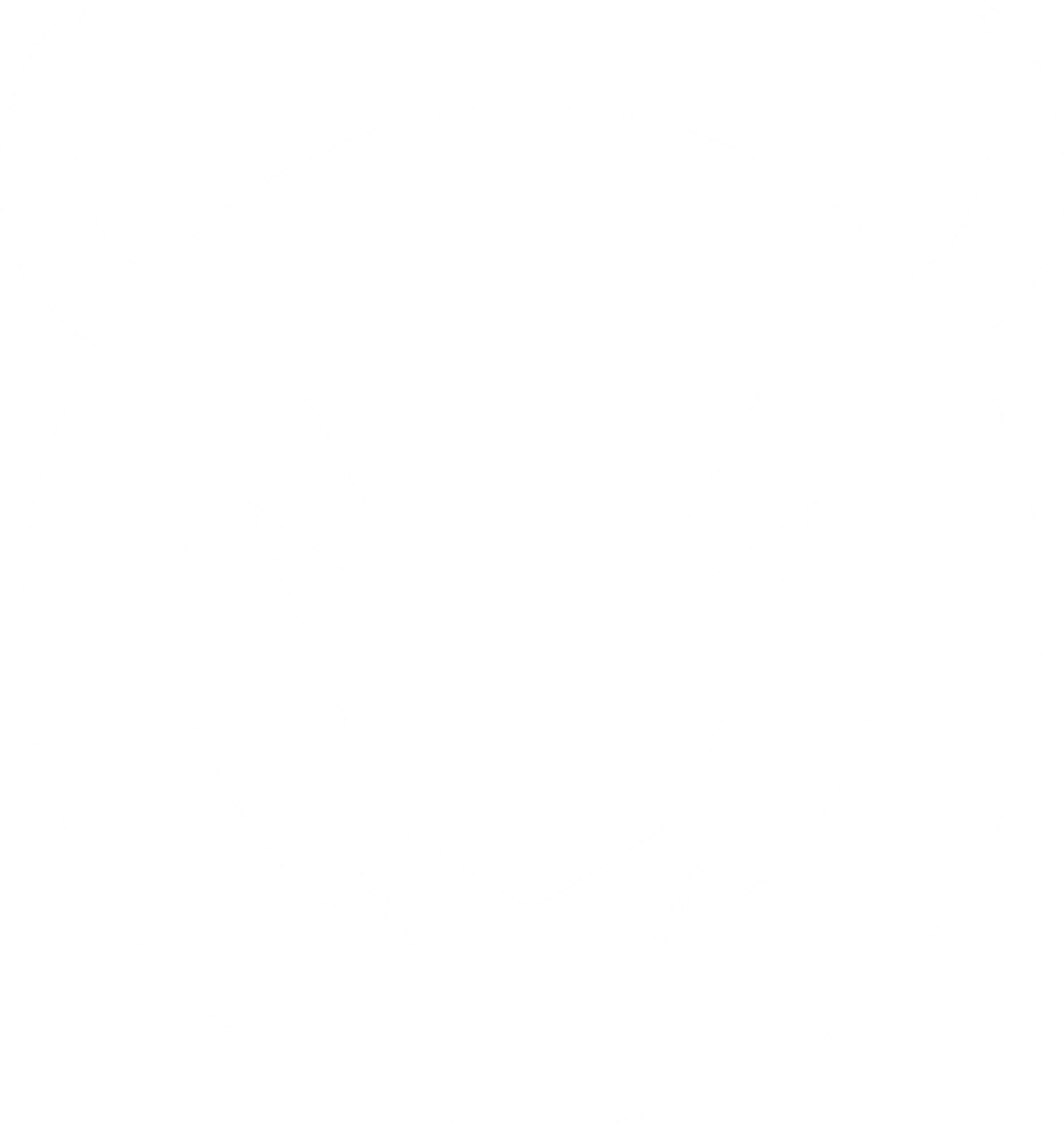 NEZA Logo black and white