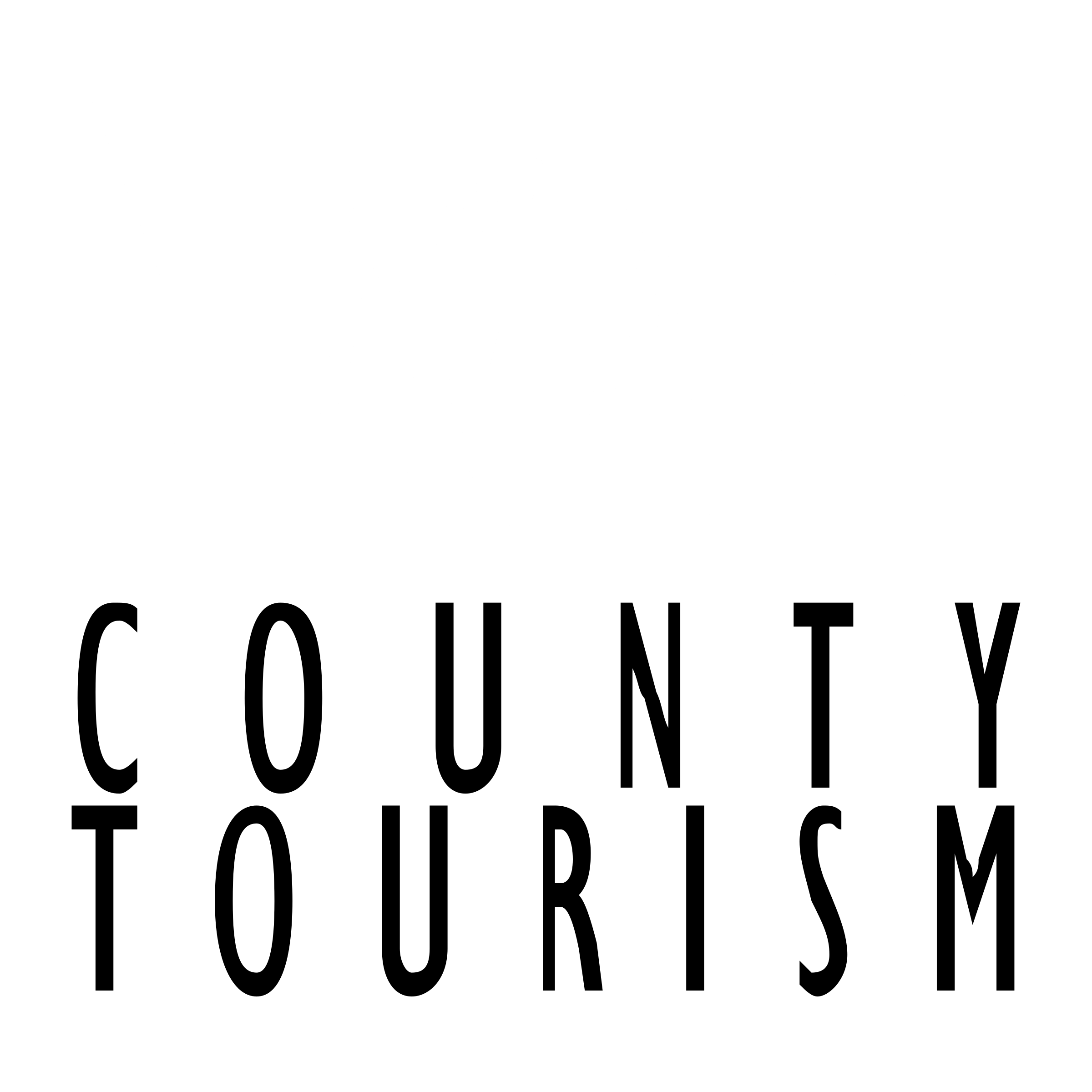 Niagara Logo black and white