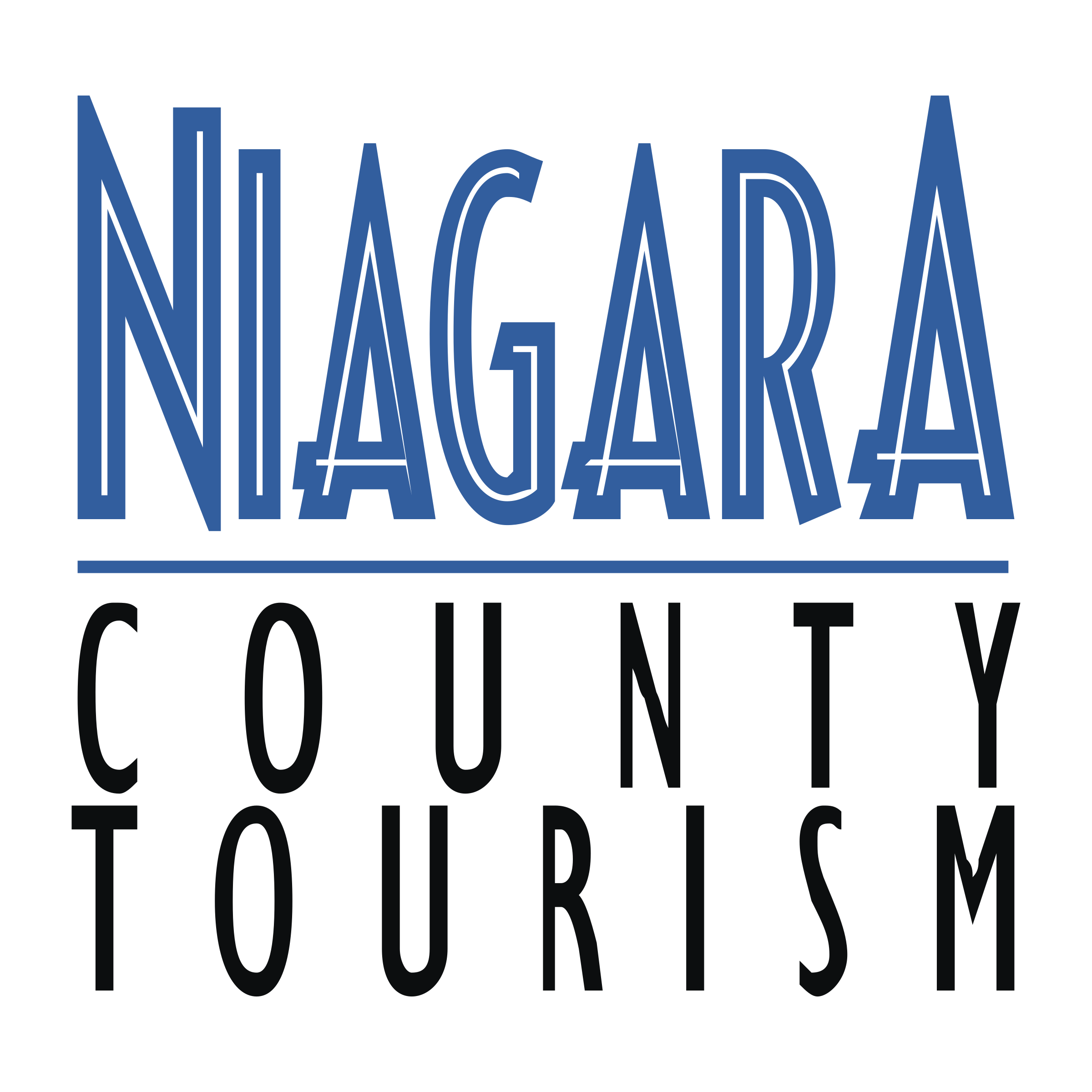 Niagara Logo png transparent
