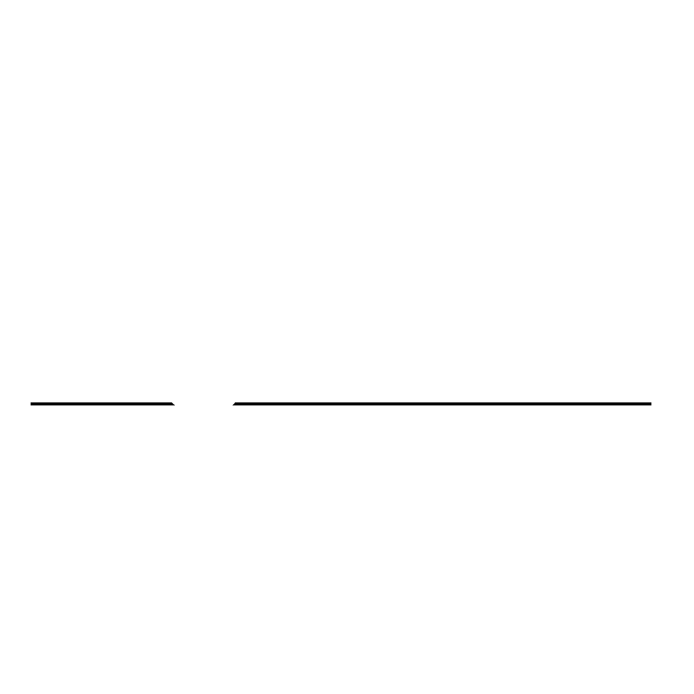 NightVision Logo black and white