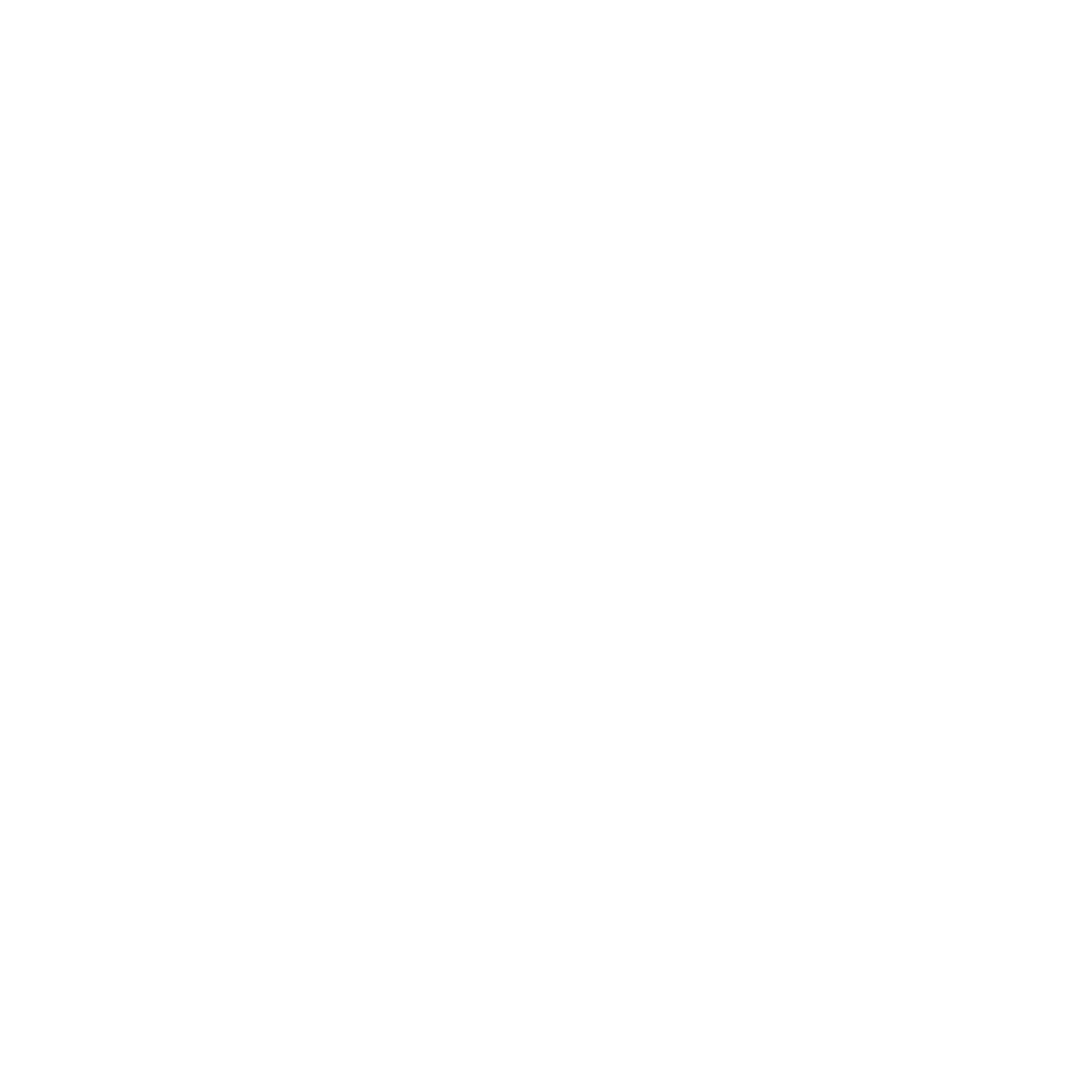 Nikoil Logo black and white