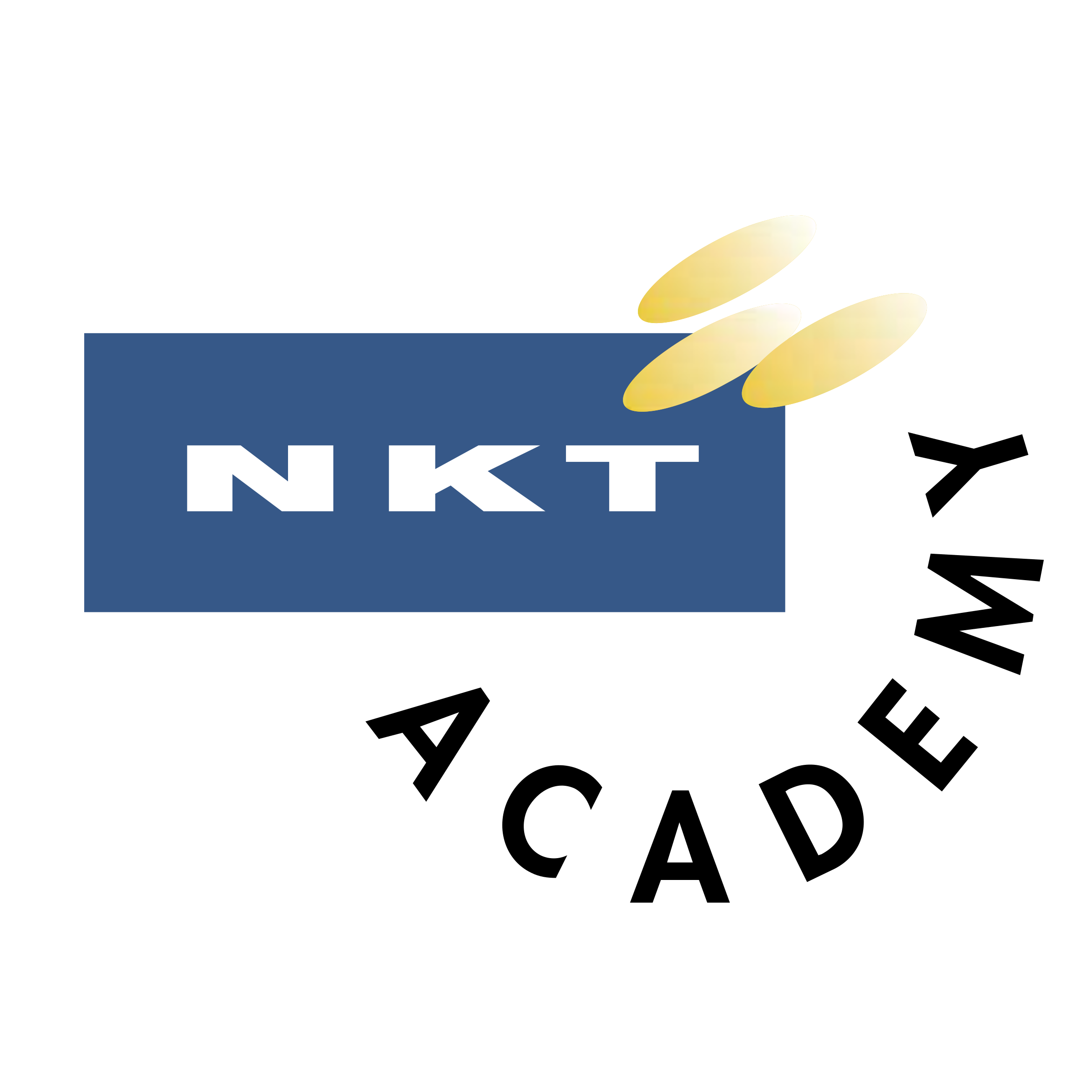NKT Academy Logo png transparent