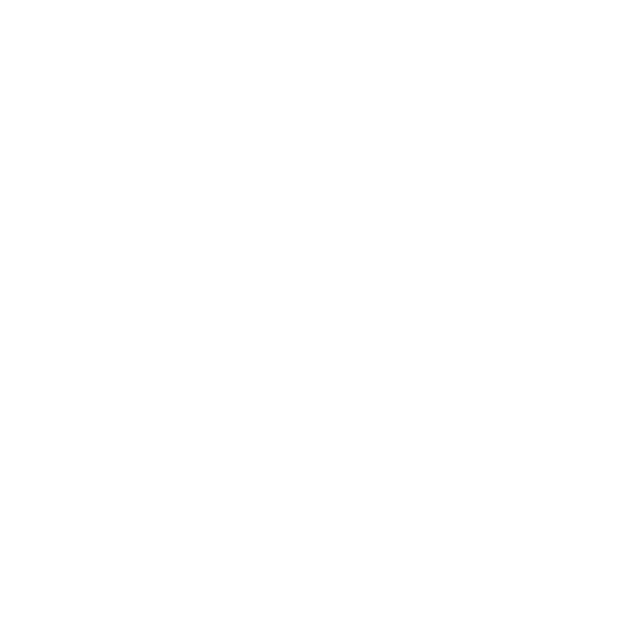 Nokian Tyres Logo black and white