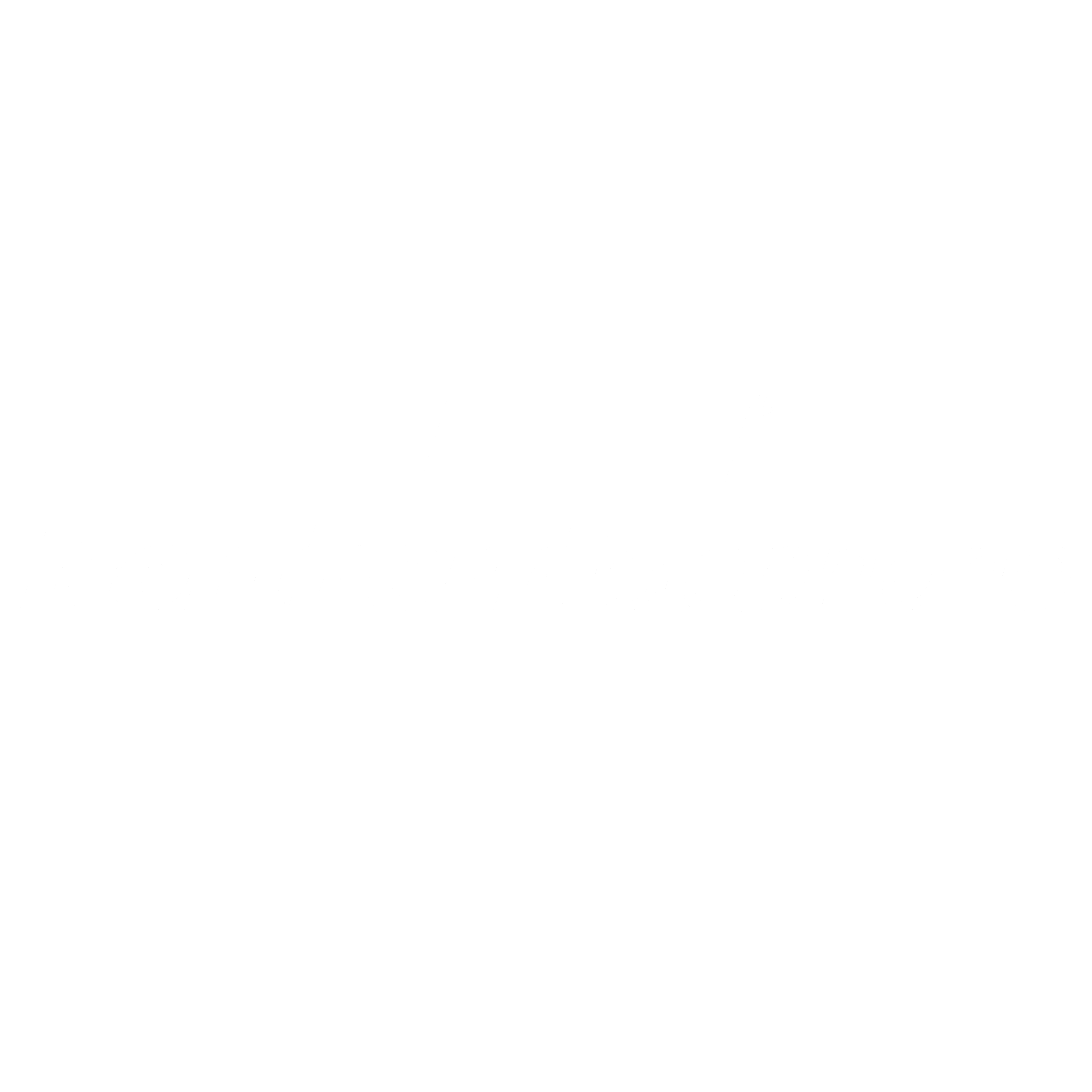 Northern Telephone Logo black and white