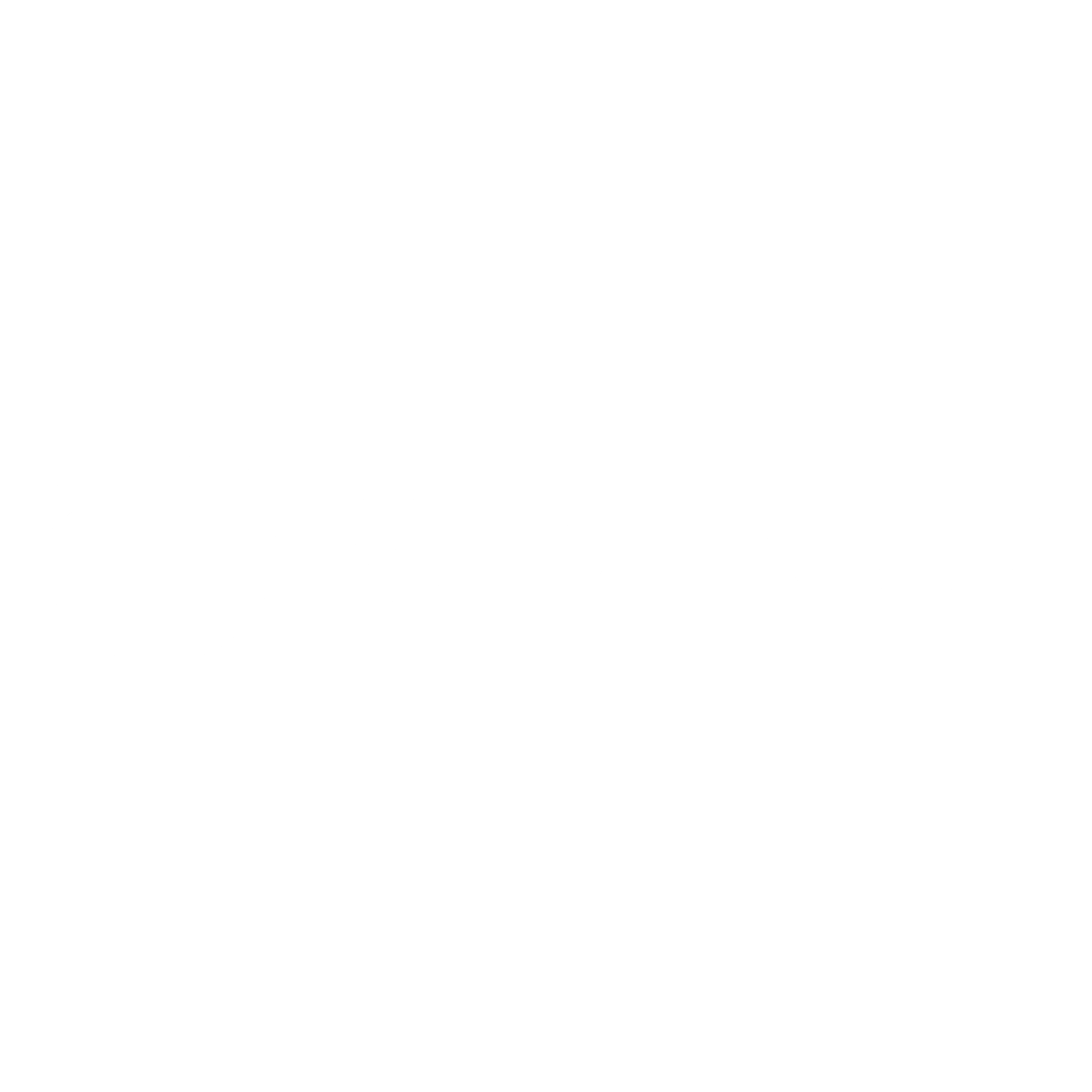 Novoste Logo black and white