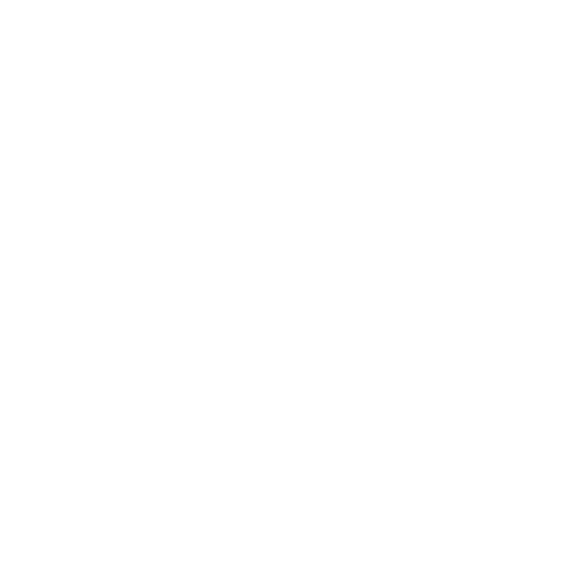 NOXIS Logo black and white