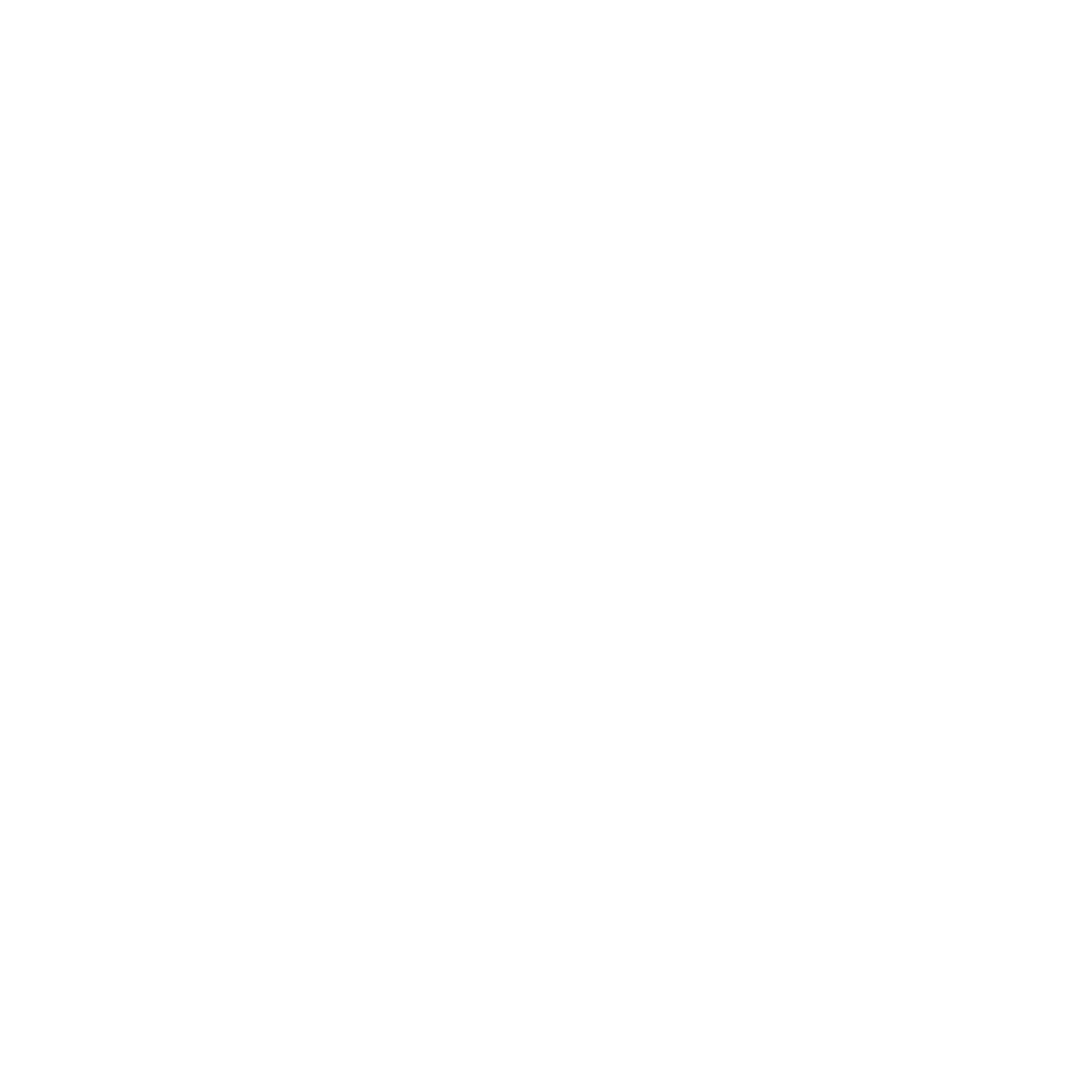 Noysi Logo black and white