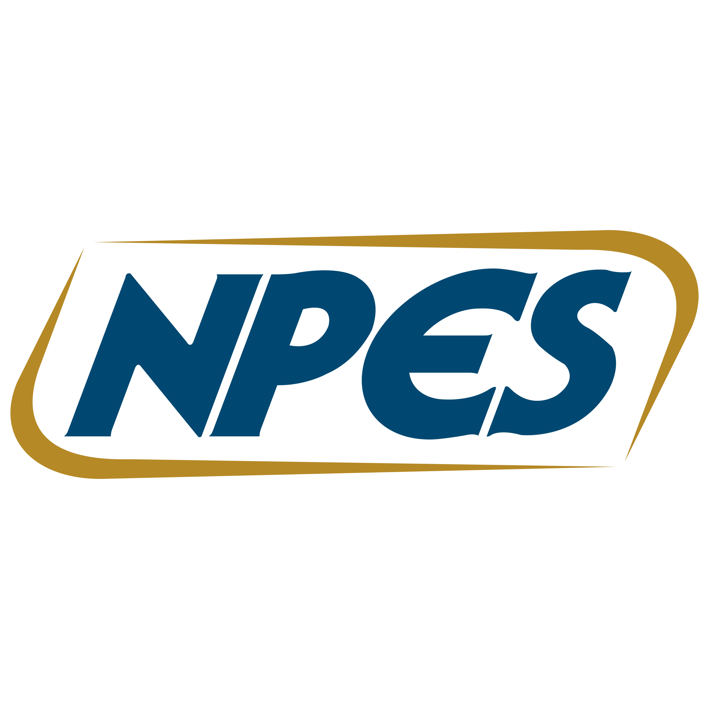Npes Logo png transparent