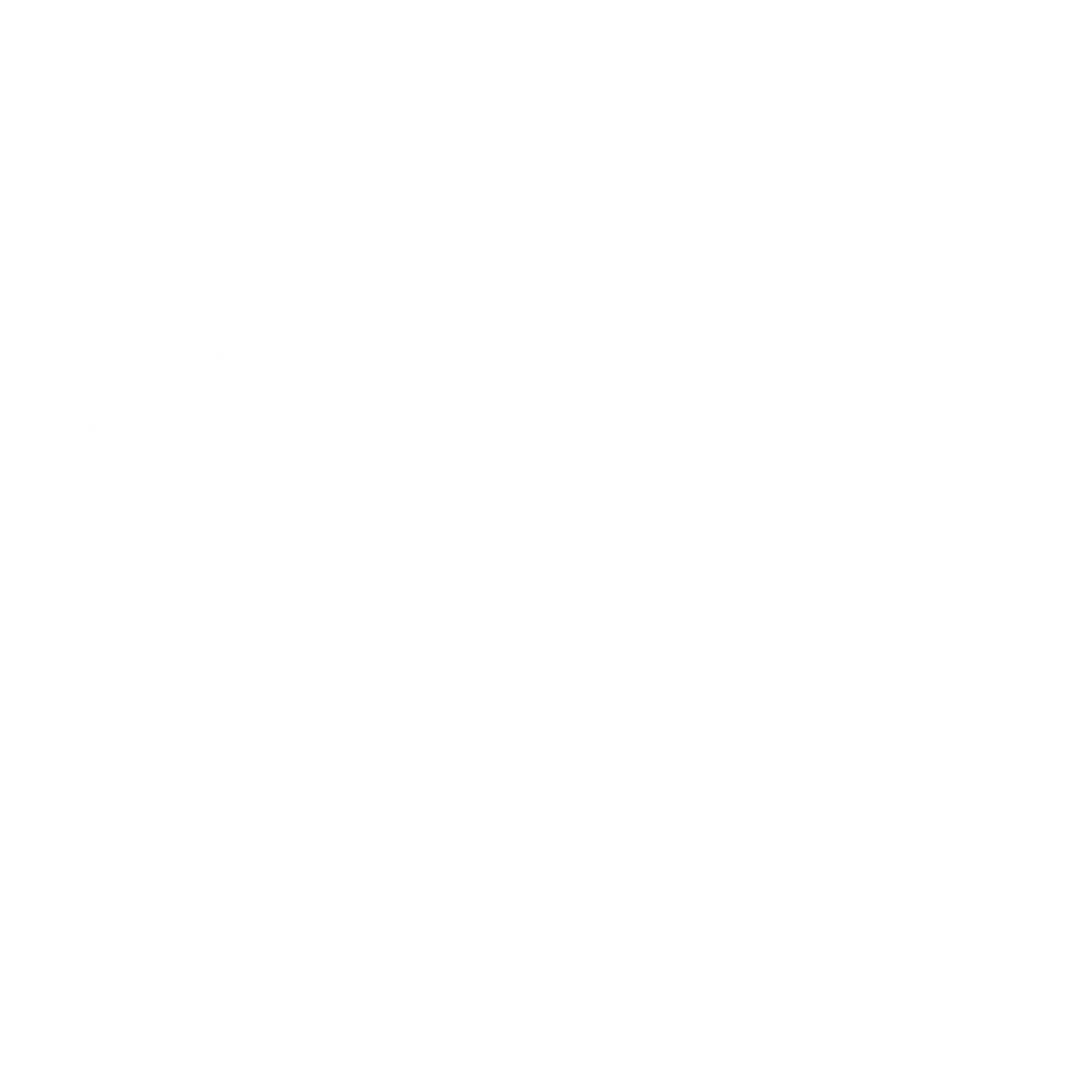 NTV Logo black and white
