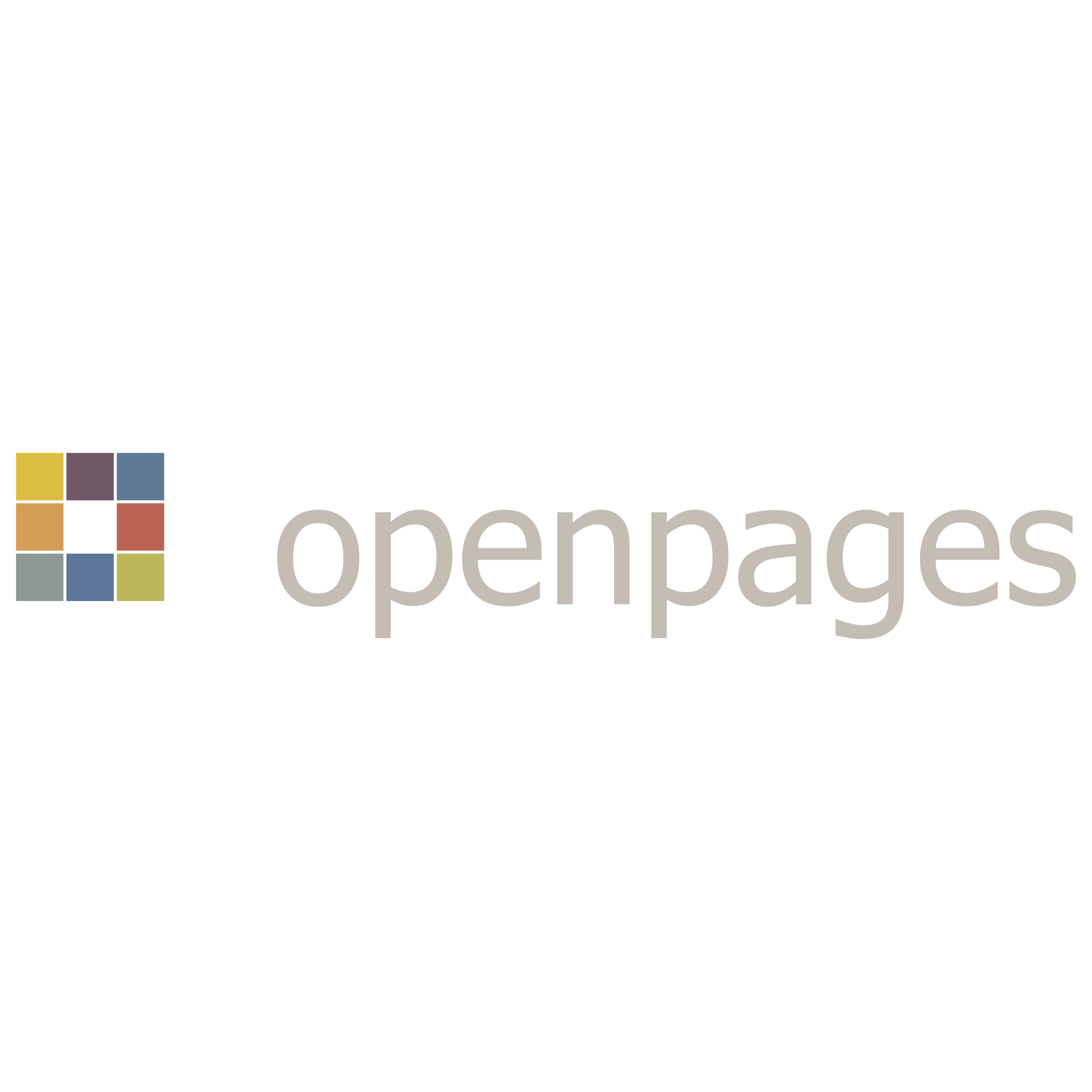 OpenPages Logo png transparent