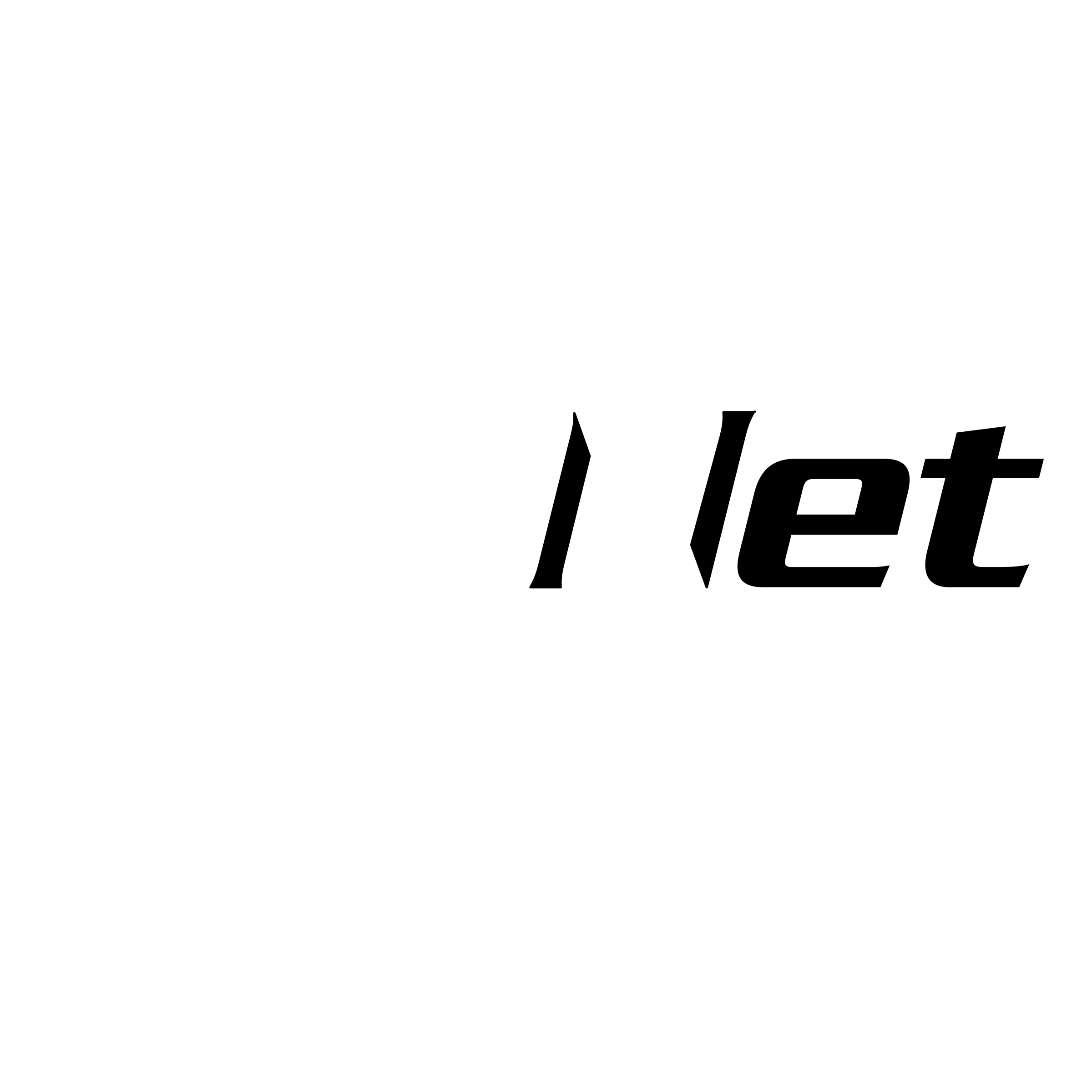 Palnet Air Cargo Products Logo black and white