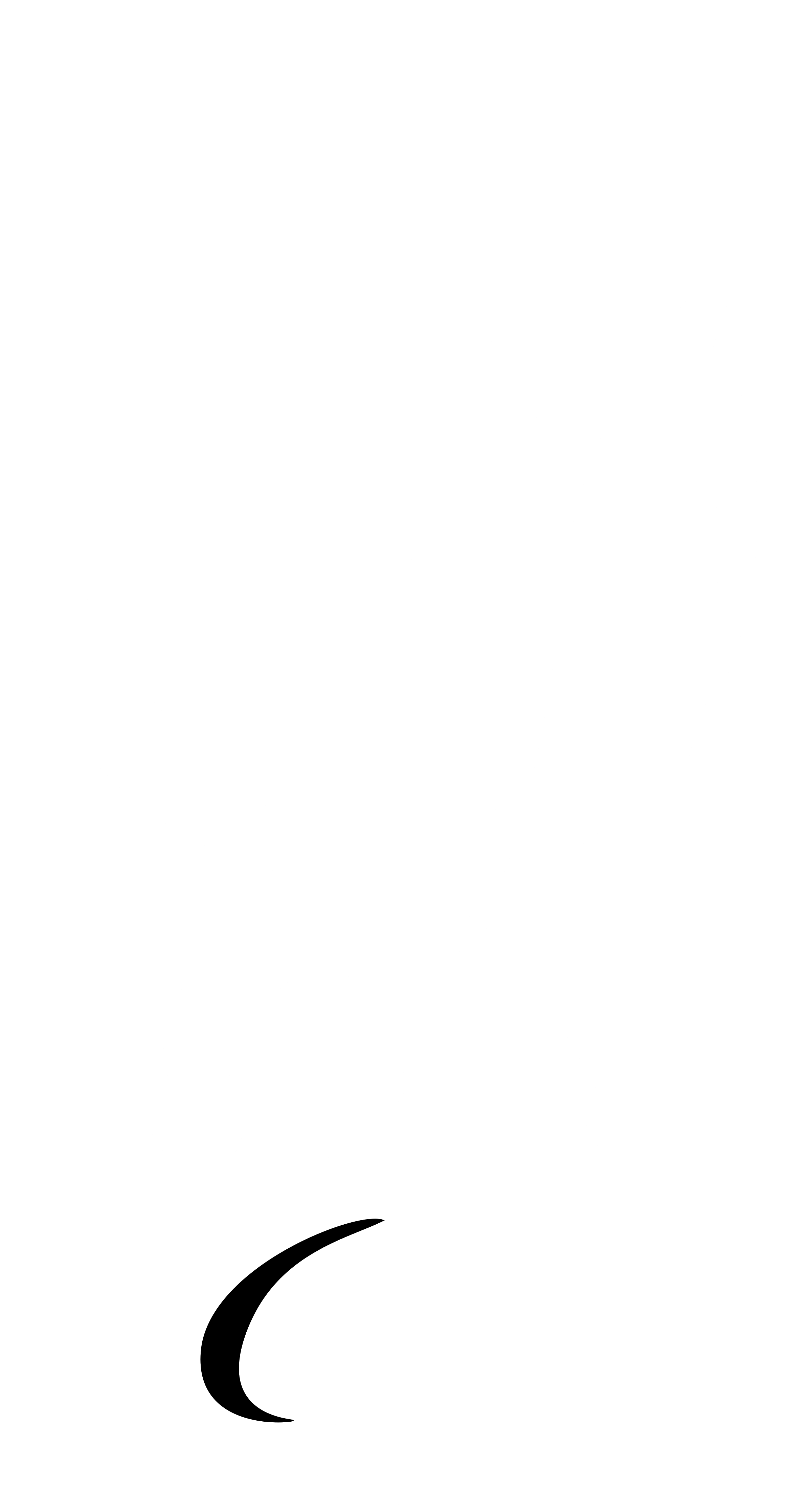 Paralympic TeamNL Logo black and white