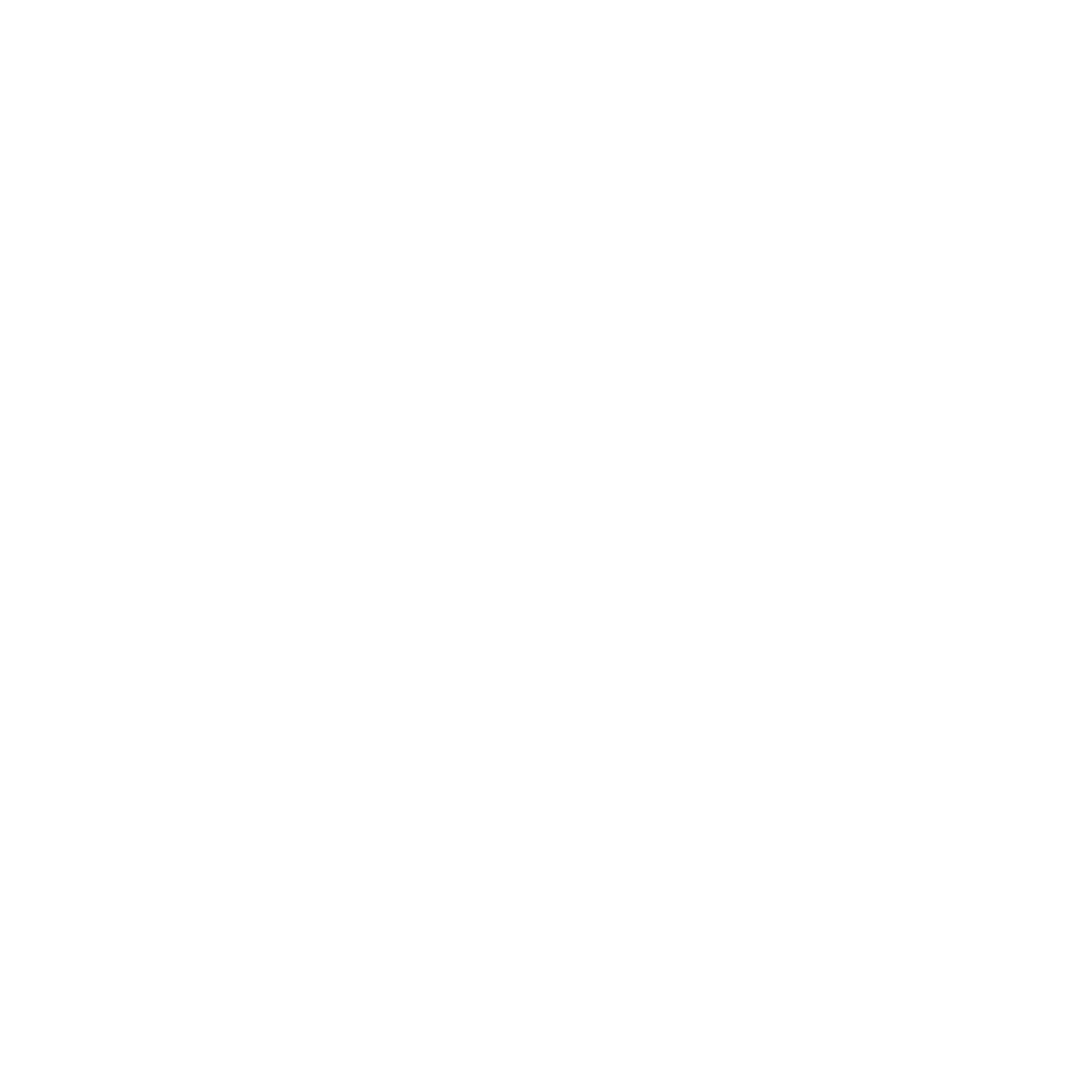Paramit Logo black and white