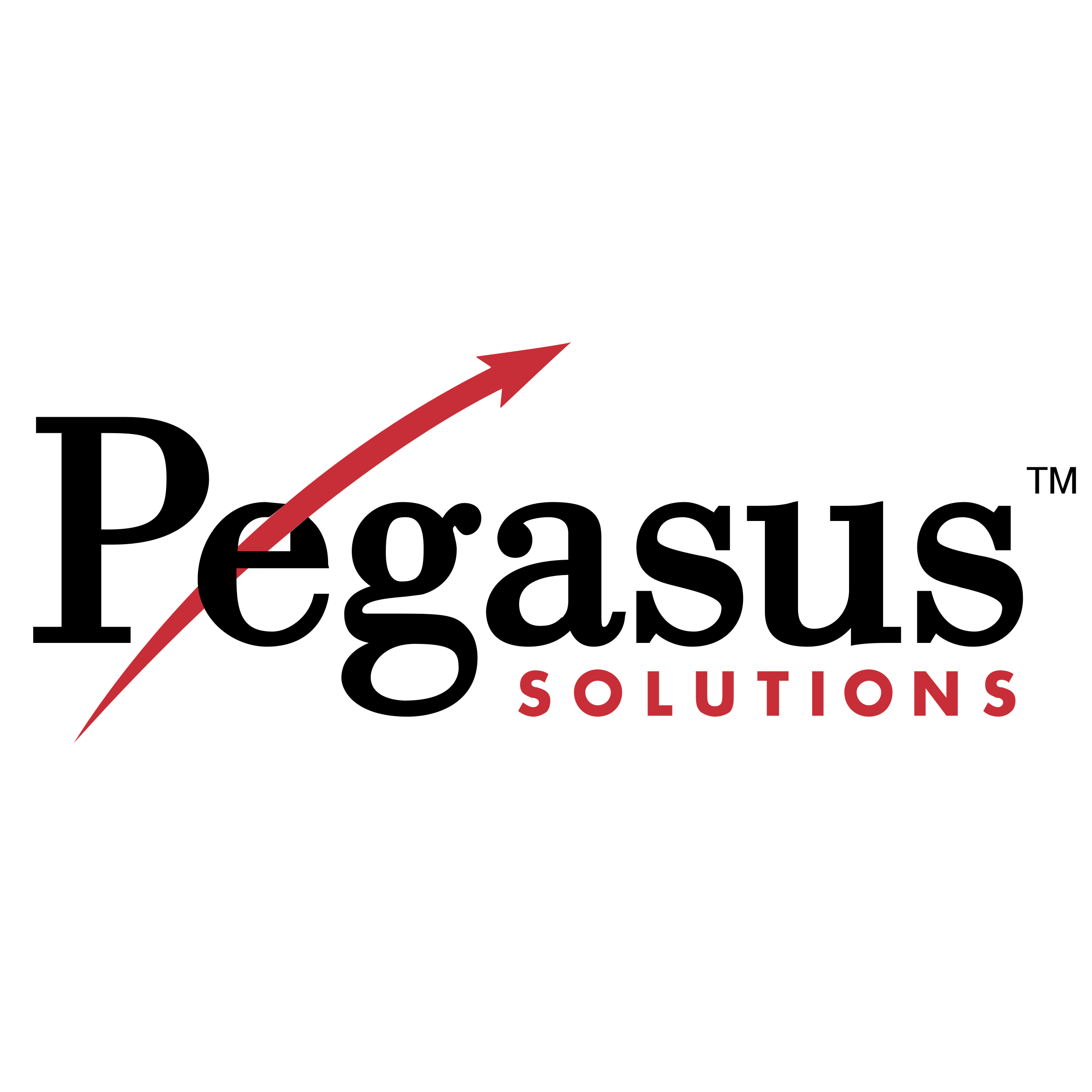 Pegasus Solutions Logo png transparent