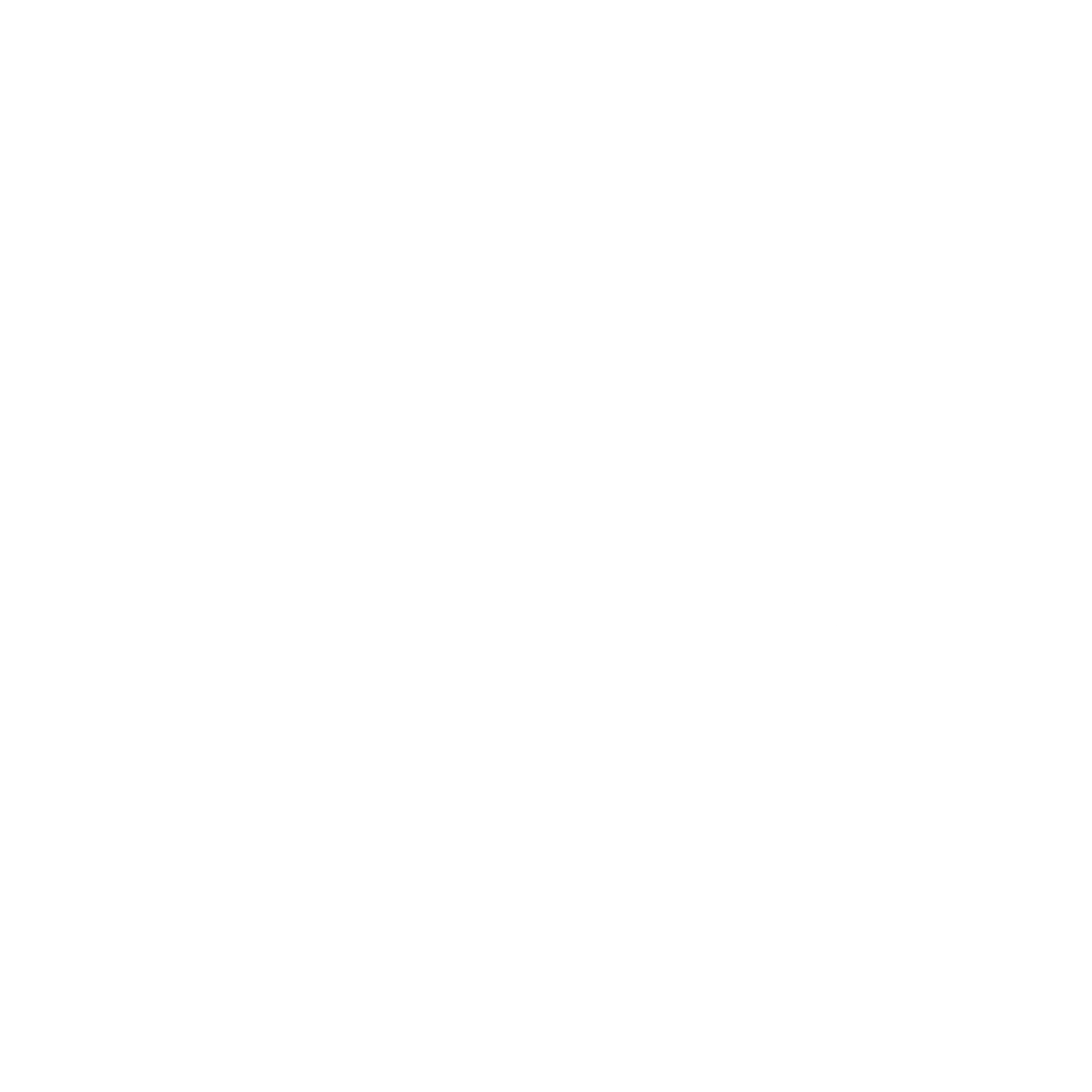 Petrochemia Plock Logo black and white