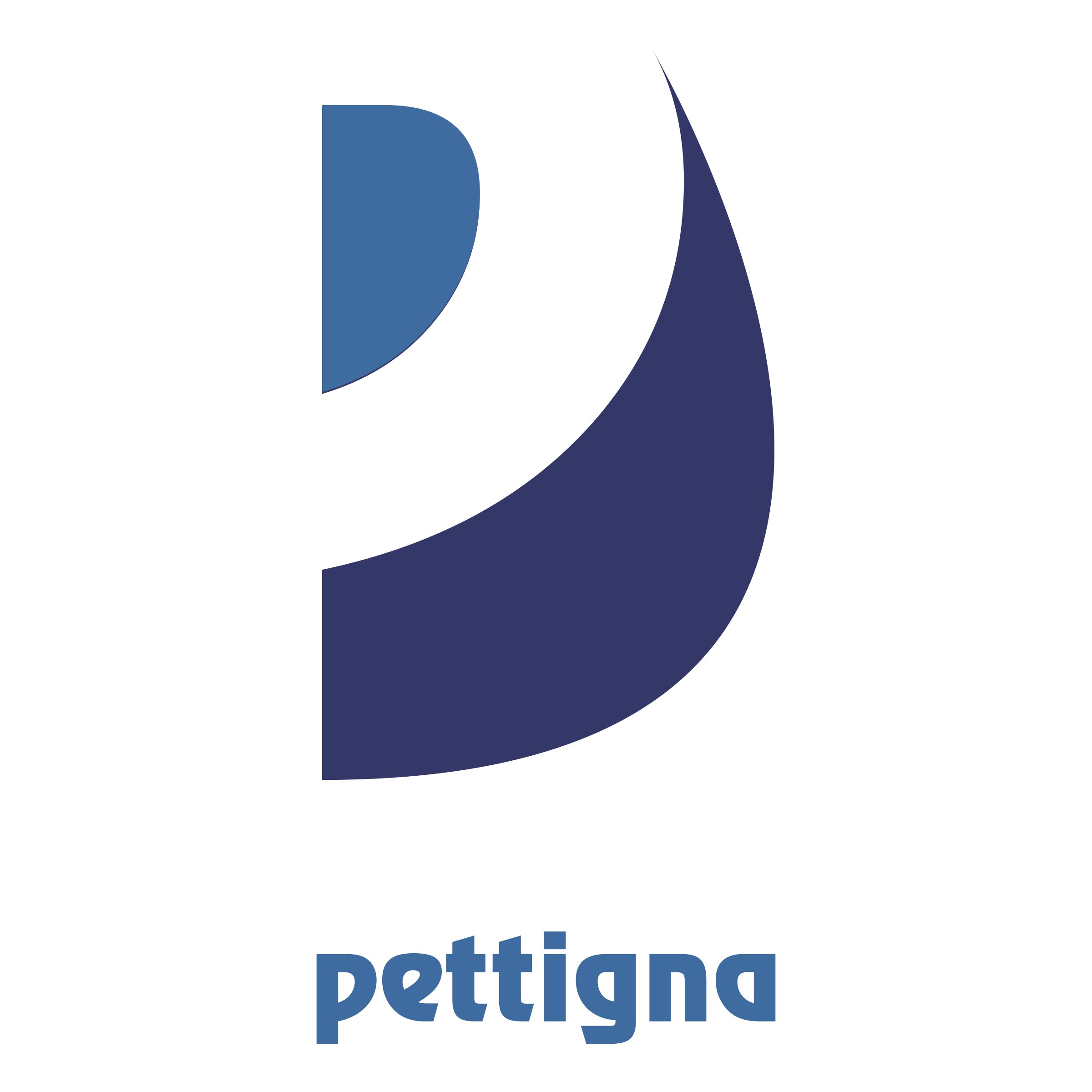 Pettigna S r l Logo png transparent
