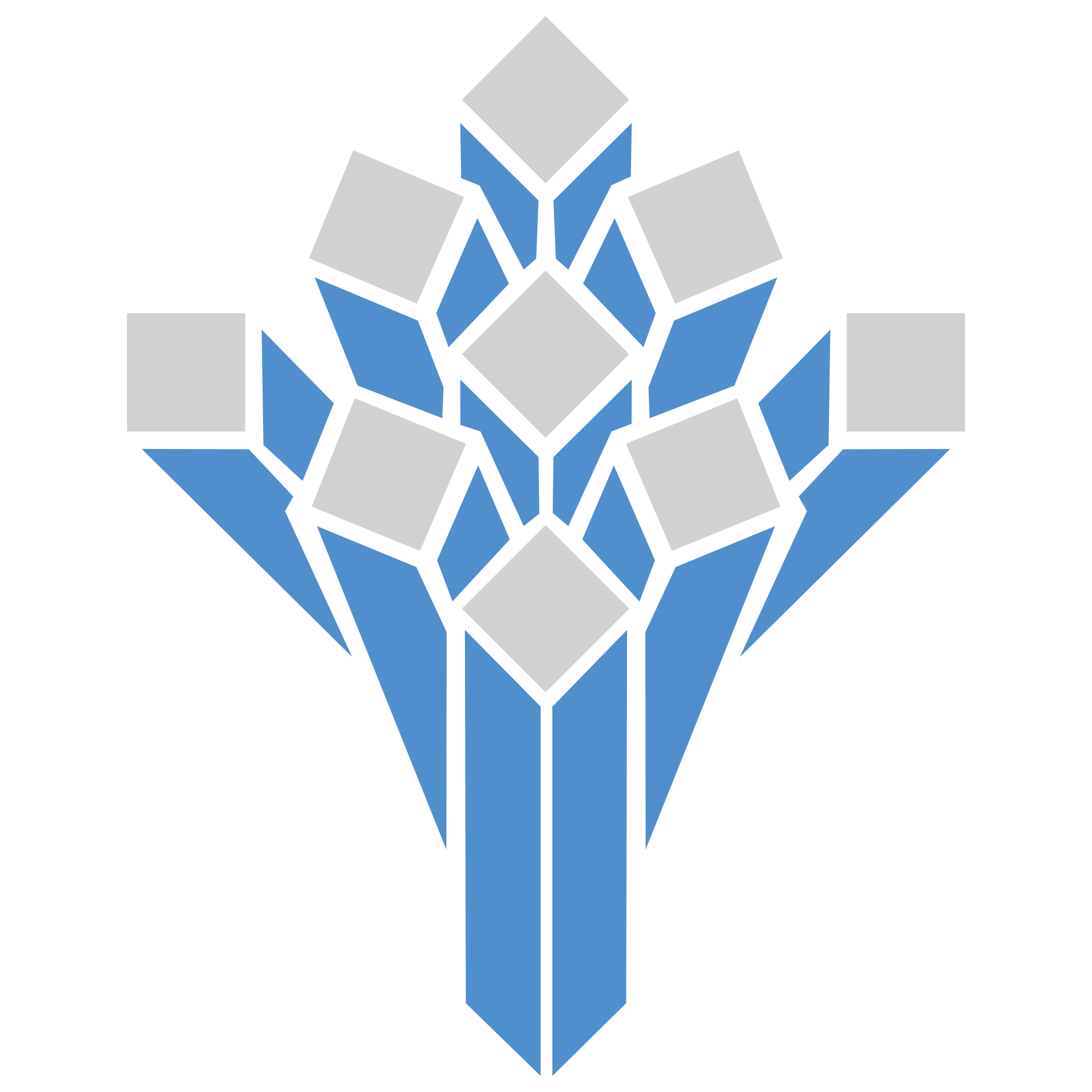 PFSRM Logo png transparent