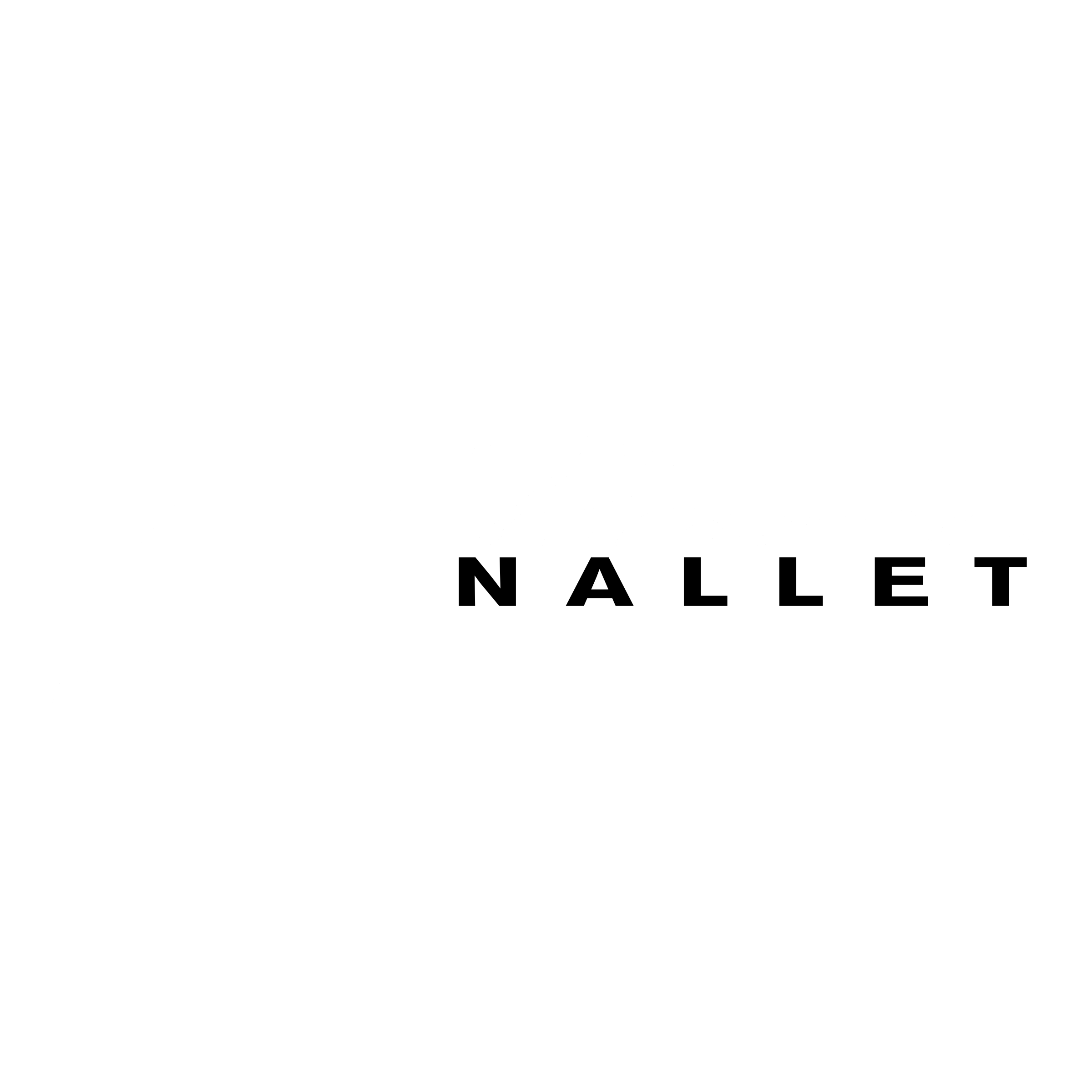 Pierre Nallet Developpement Logo black and white