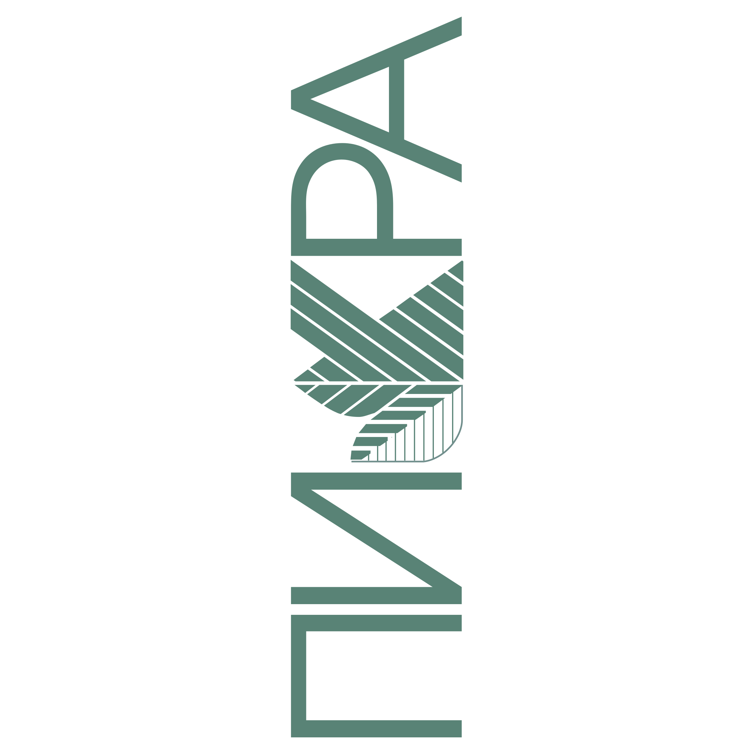 Pikra Logo png transparent