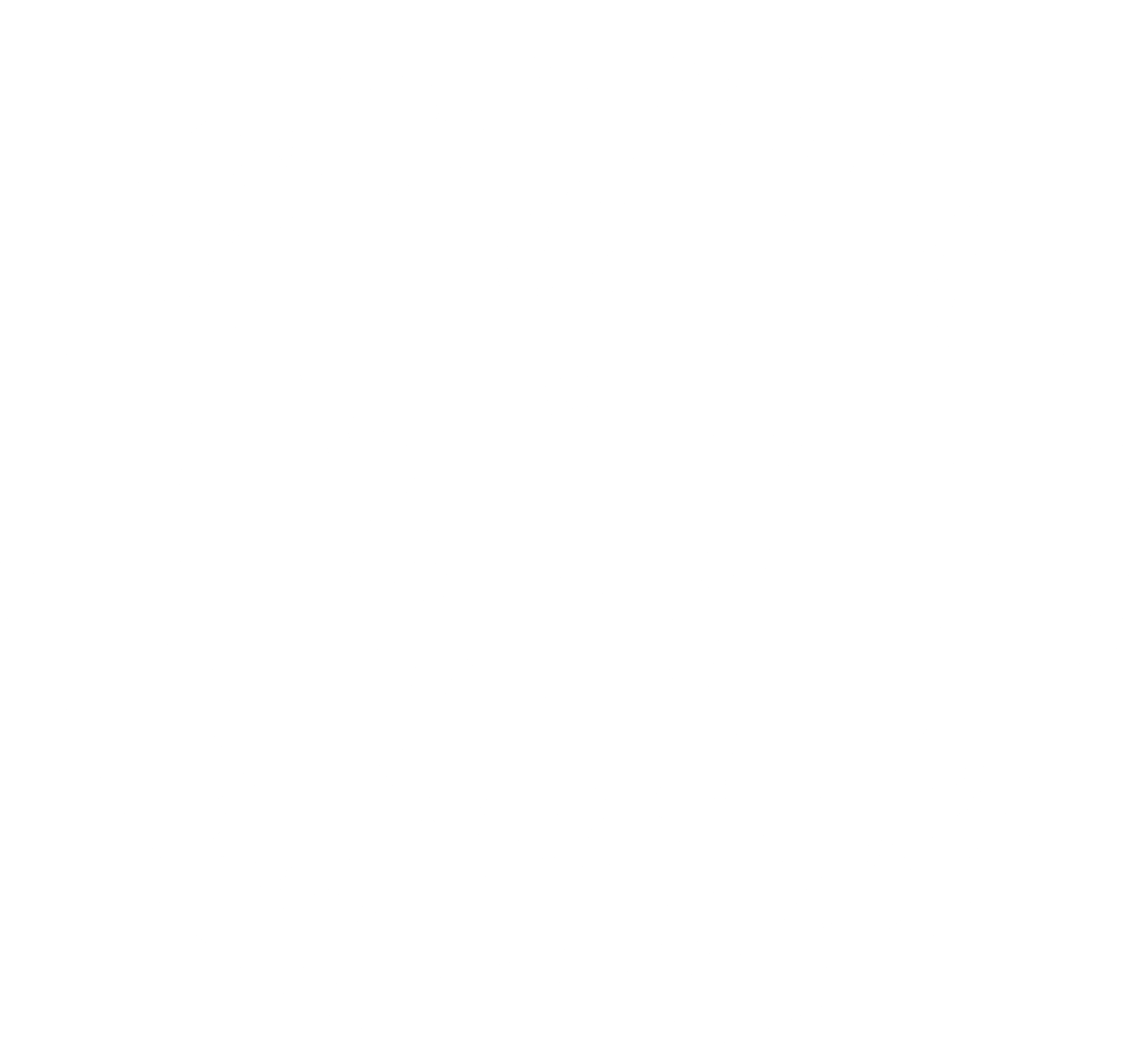 Pine View School Logo black and white