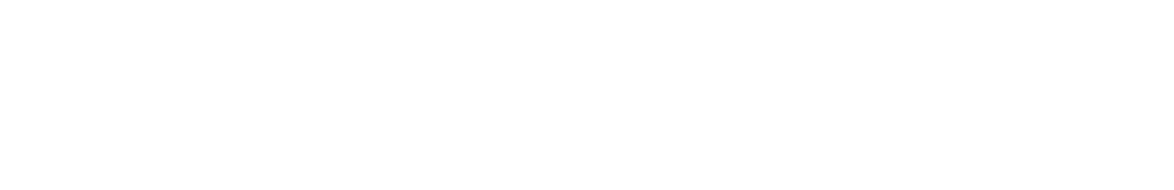 Ping an Logo black and white