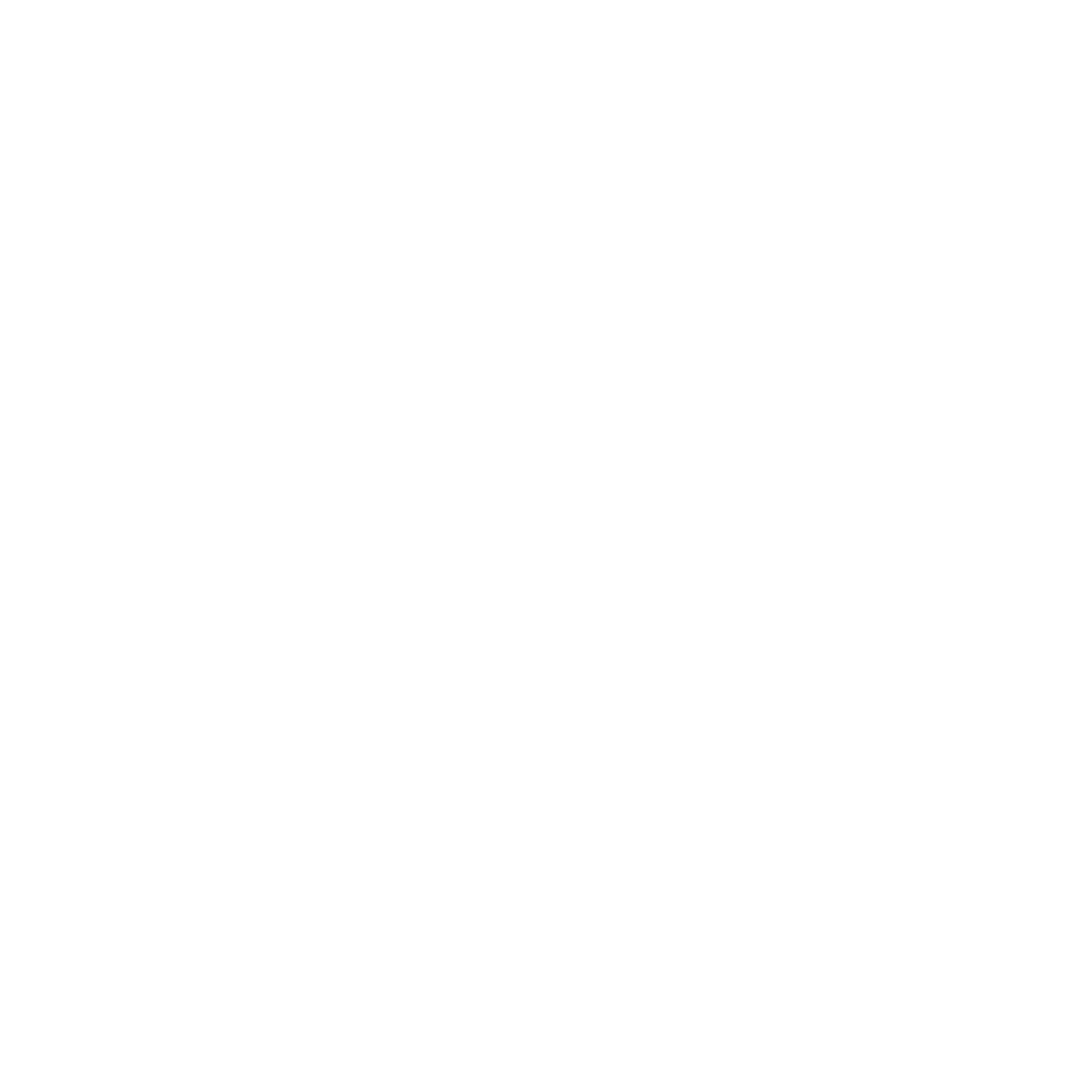 PLUS Logo black and white