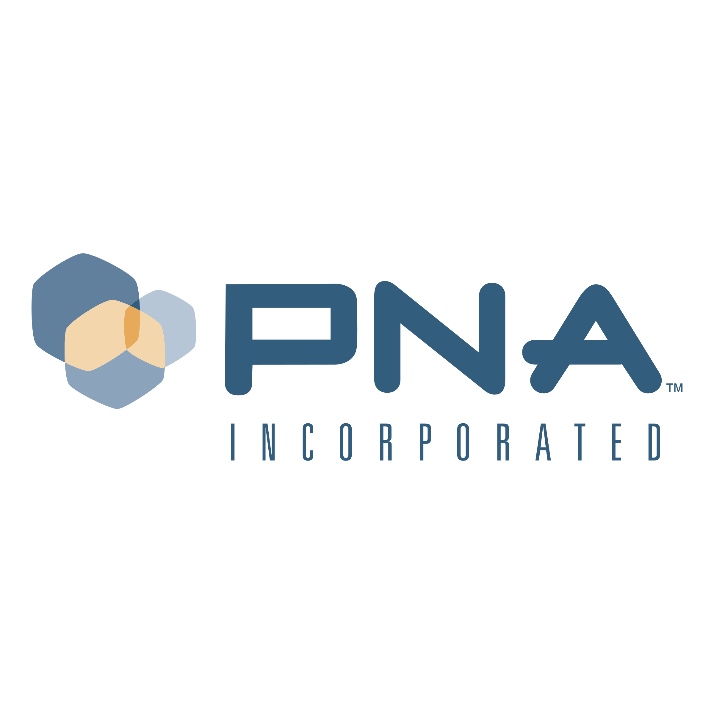 PNA Incorporated Logo png transparent