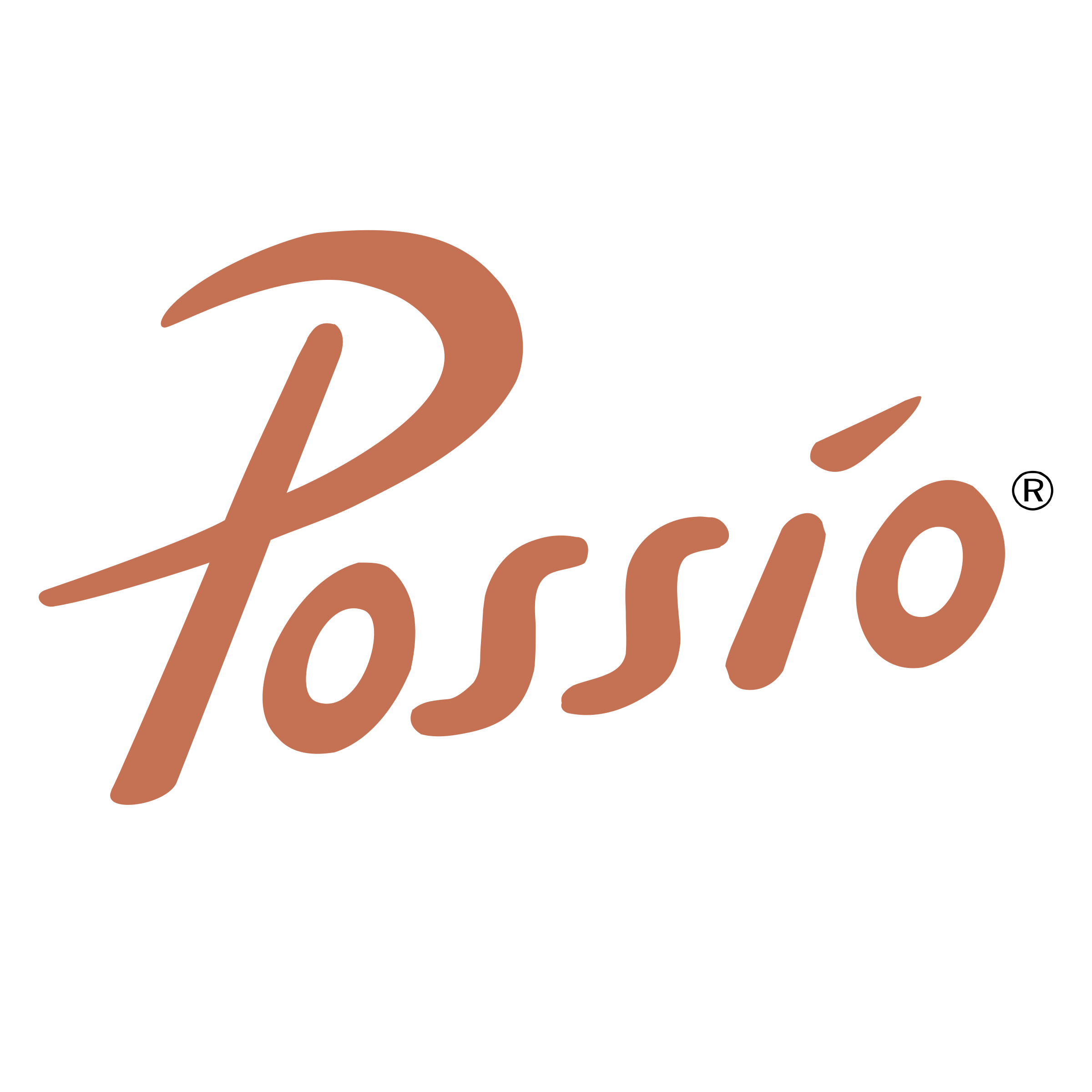 Possio Logo png transparent
