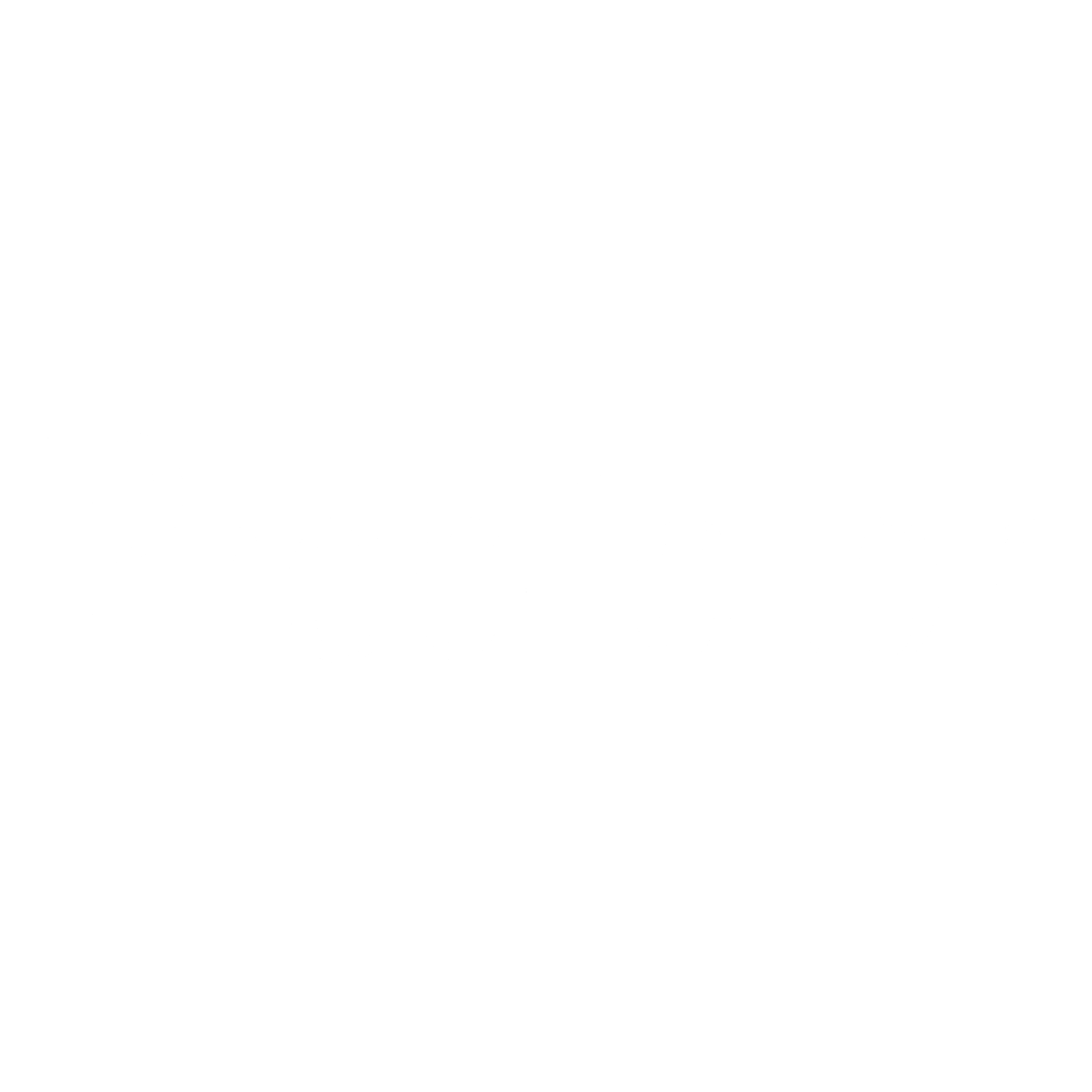 Predictor Logo black and white