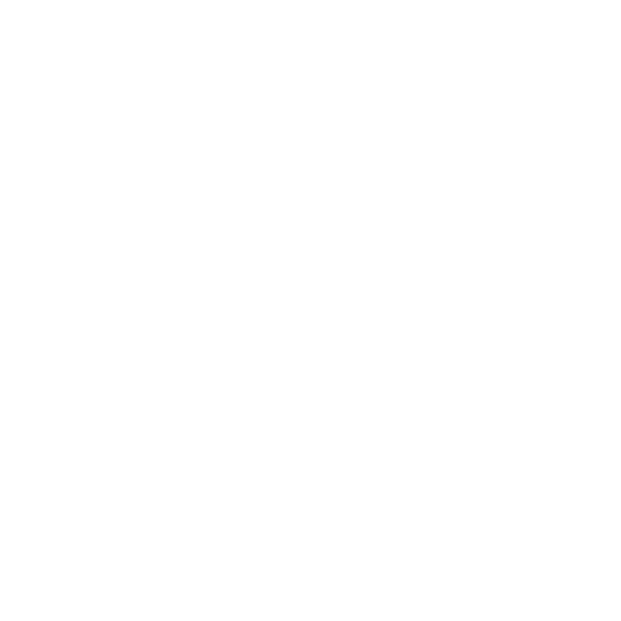 Pro Active International Logo black and white