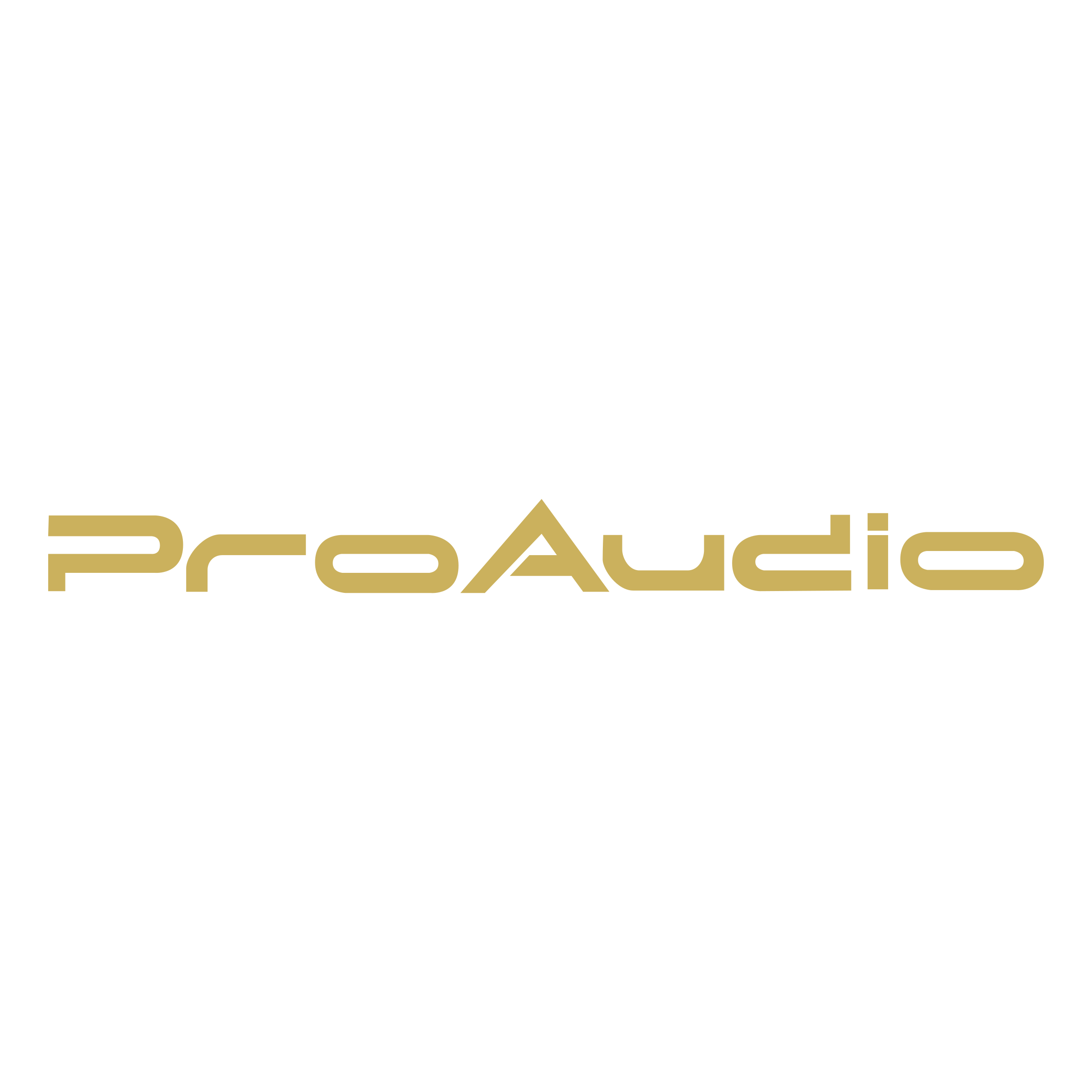 ProAudio Logo png transparent
