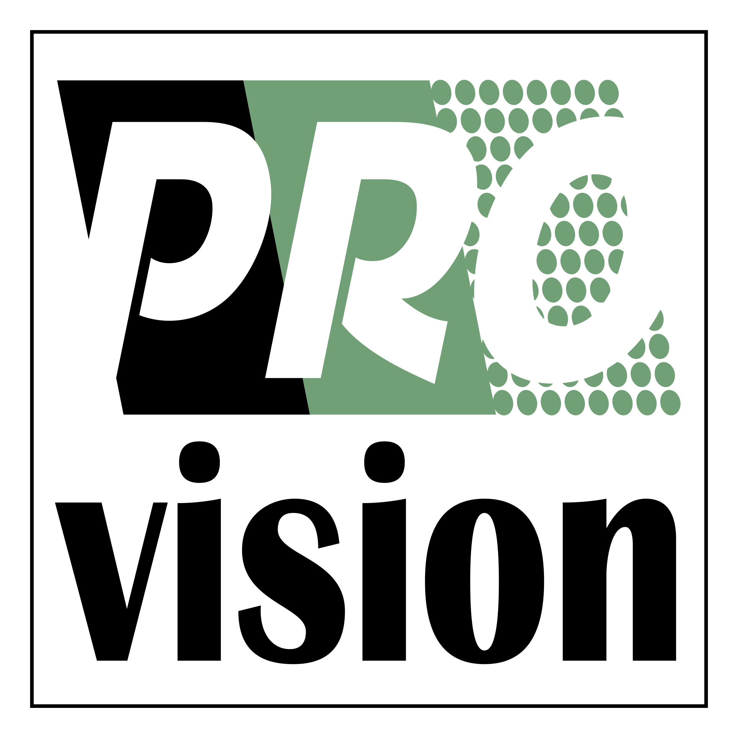 Professional Vision Logo png transparent