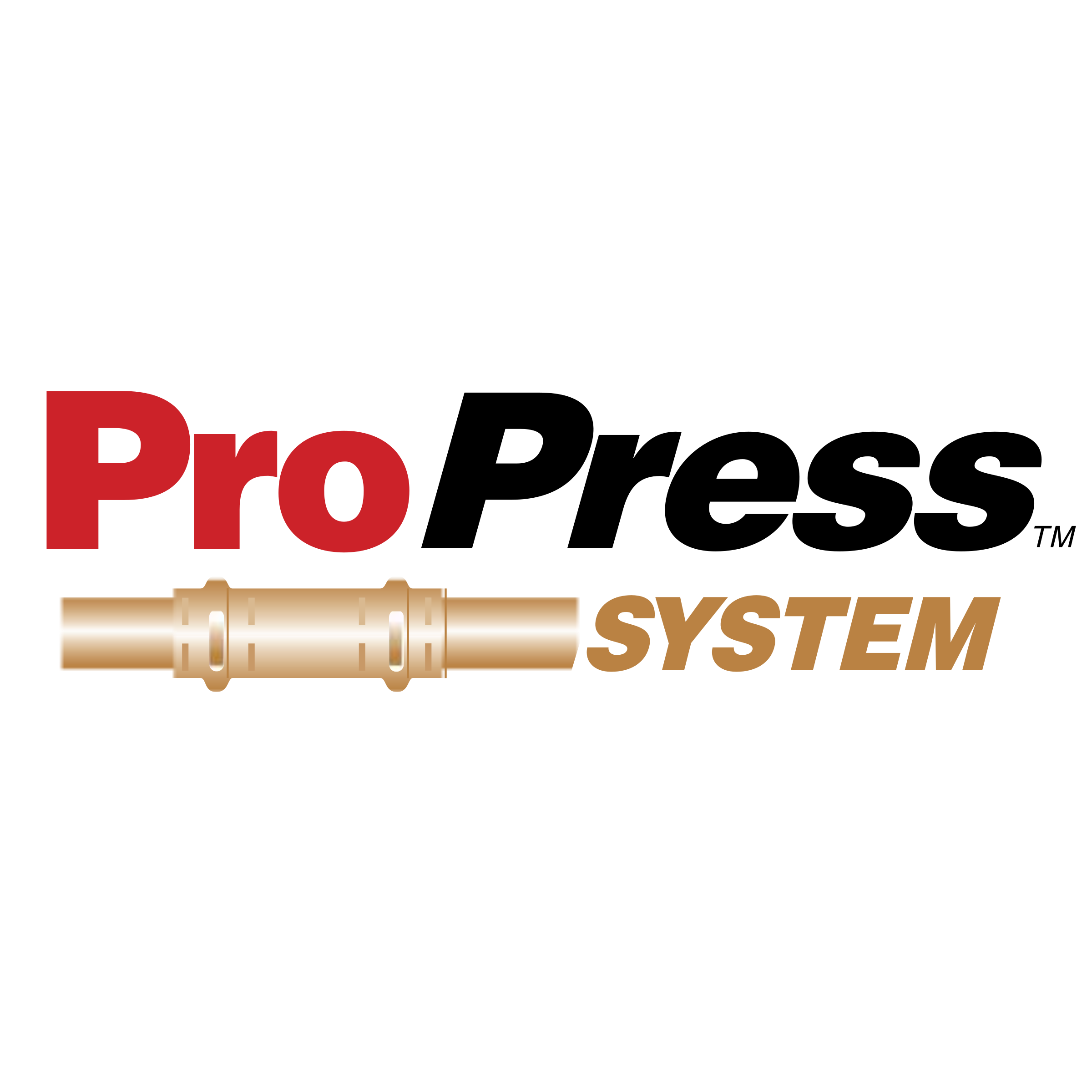 ProPress System Logo png transparent
