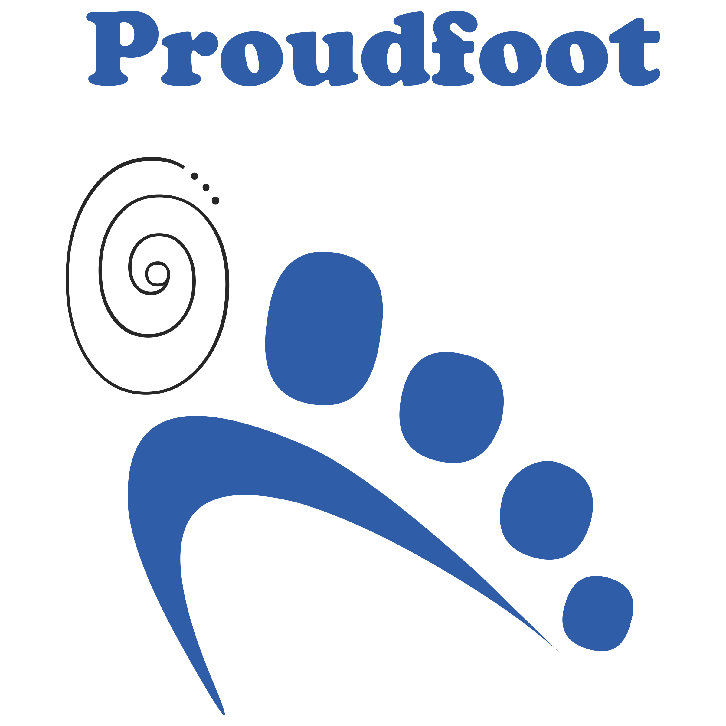 Proudfoot Communications Logo png transparent