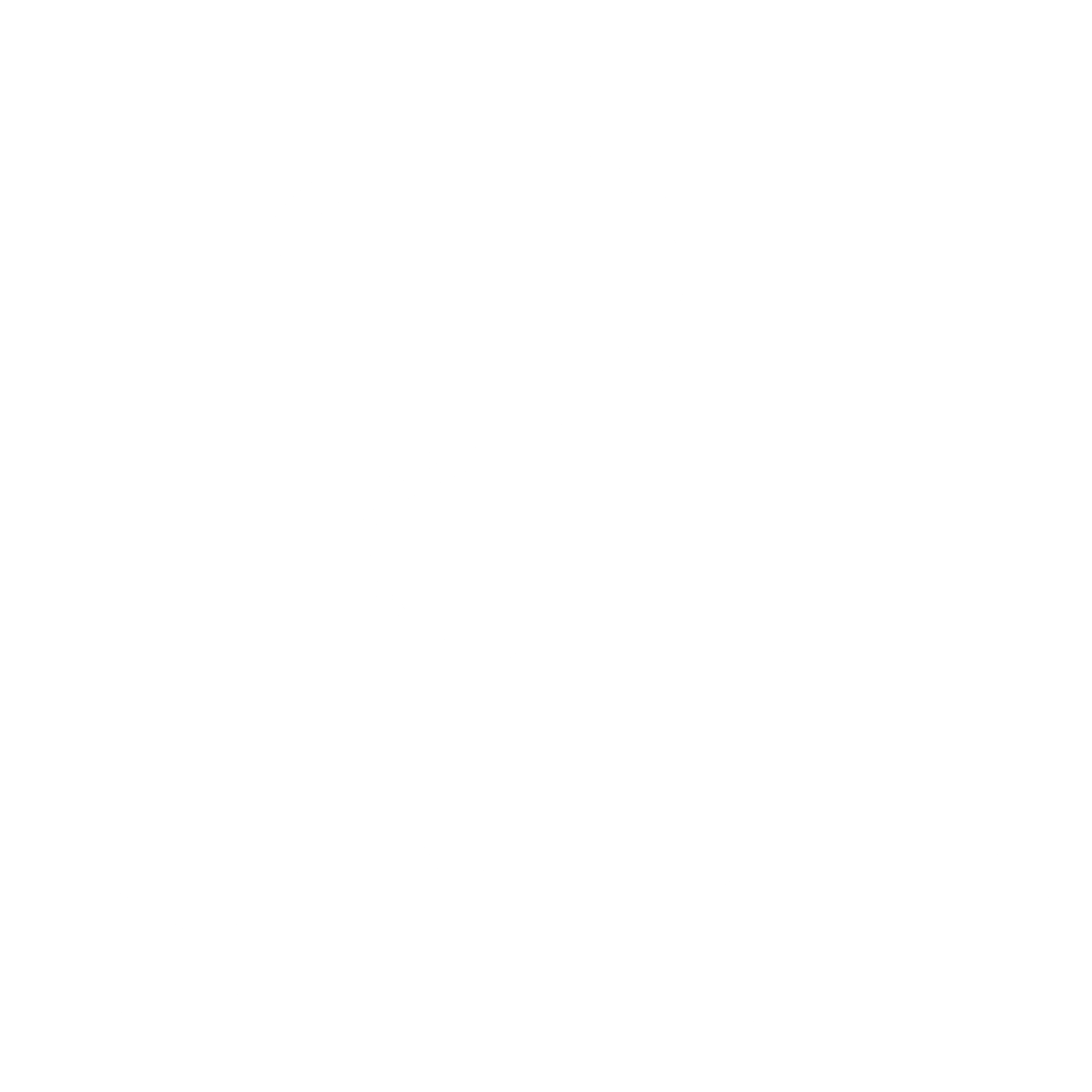 Rapid Insure Logo black and white