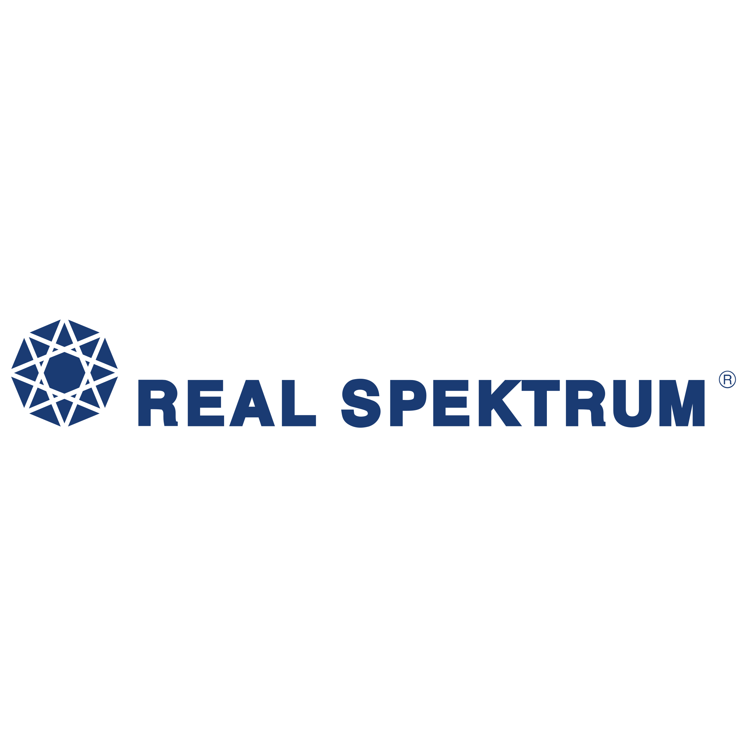 Real Spektrum Logo png transparent