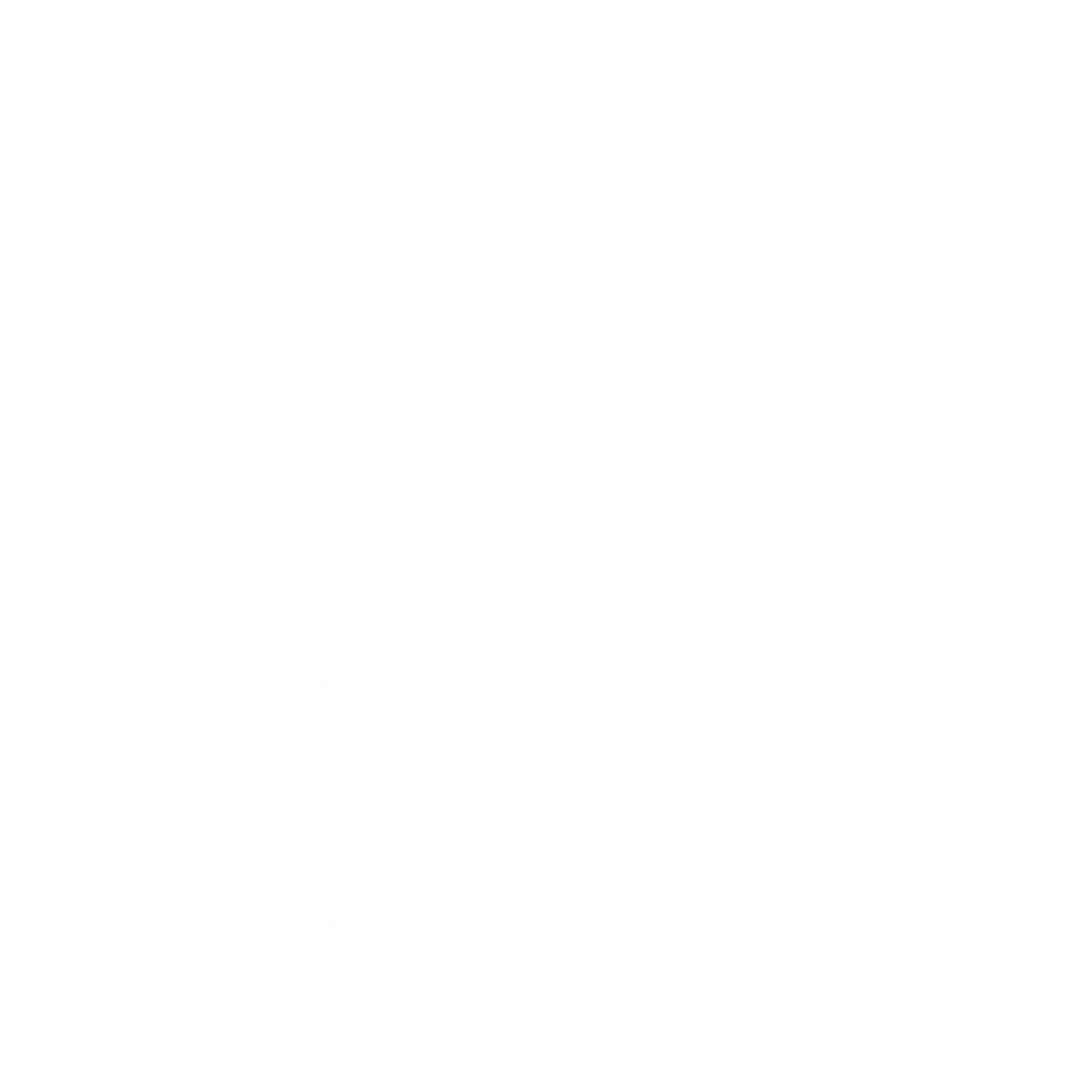 Ride Snowboards Logo black and white