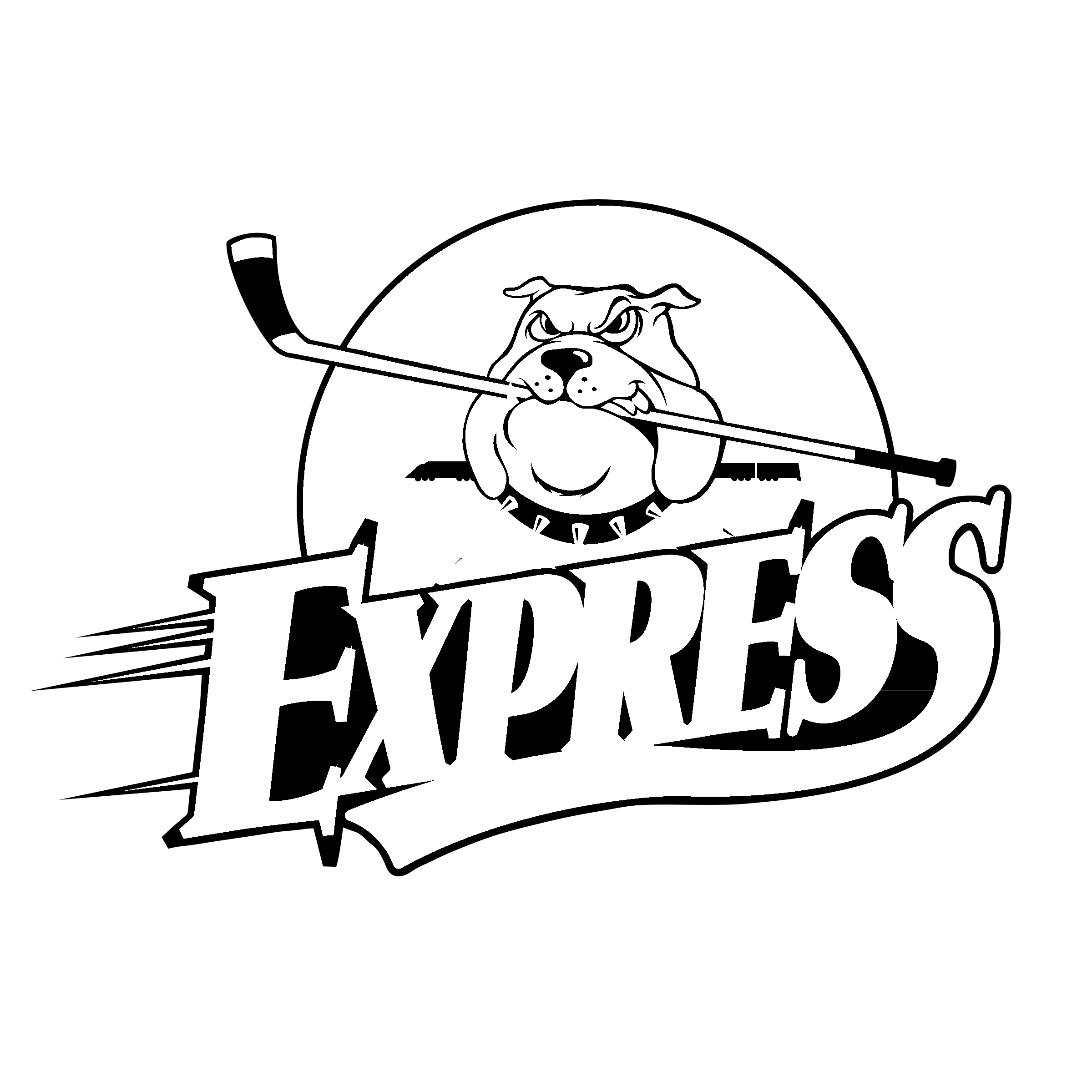 Roanoke Express Logo PNG Transparent & SVG Vector Freebie Supply