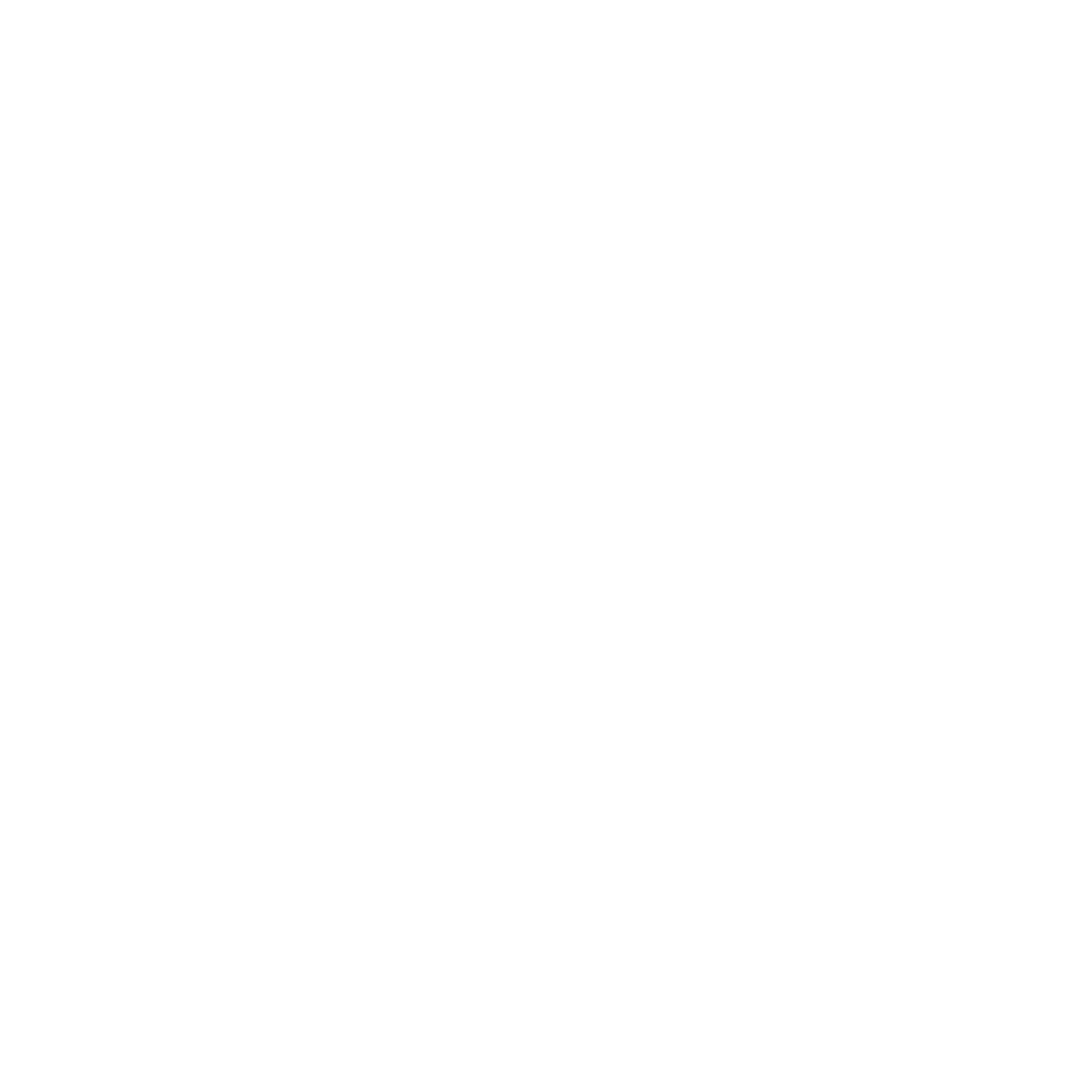 Robust Logo black and white