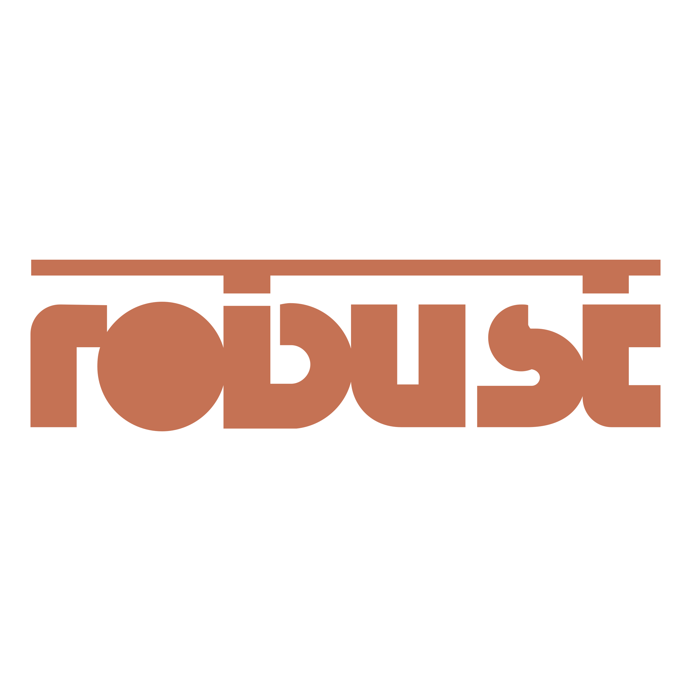 Robust Logo png transparent