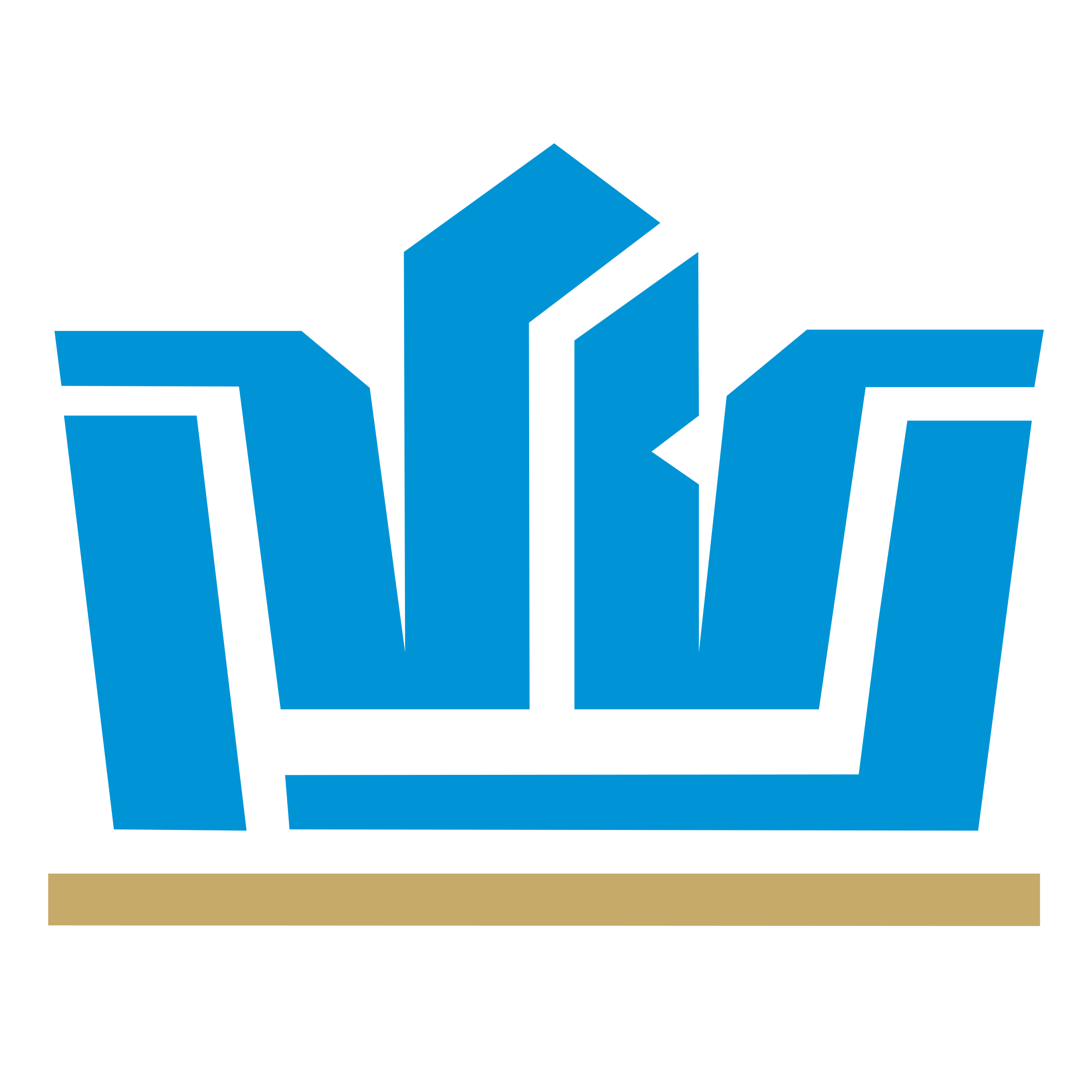 RVD Logo png transparent