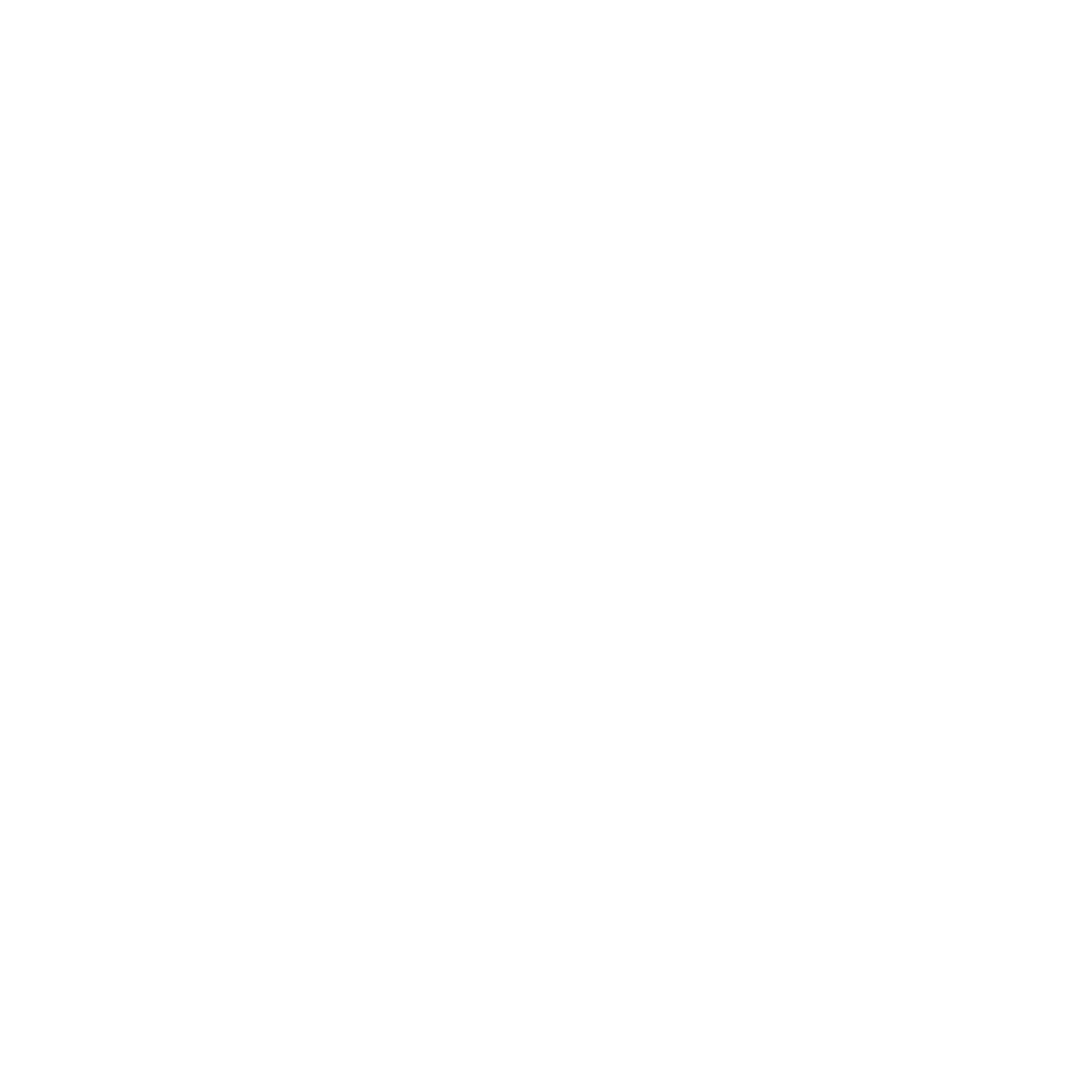 S E A Group Logo black and white