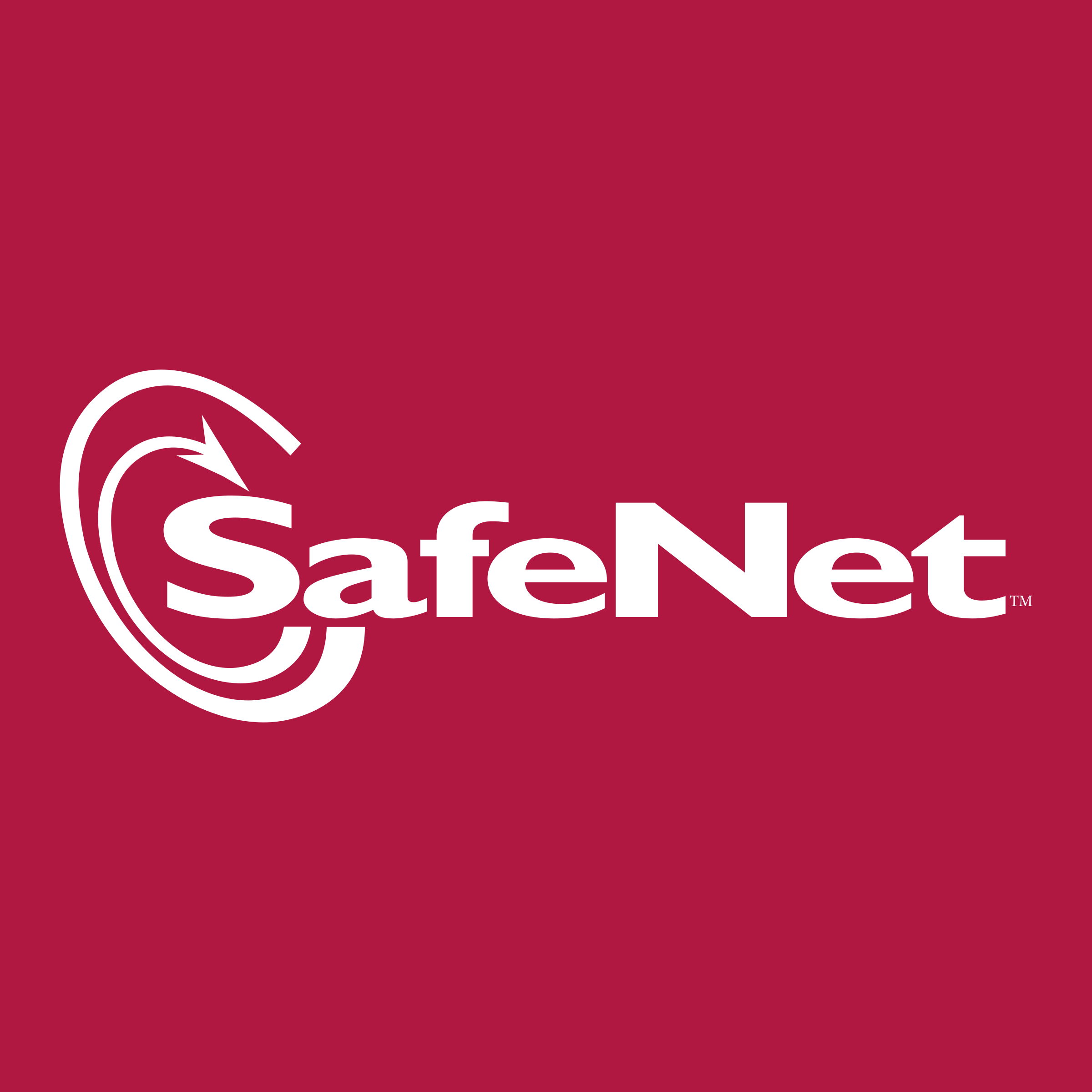 SafeNet Logo png transparent