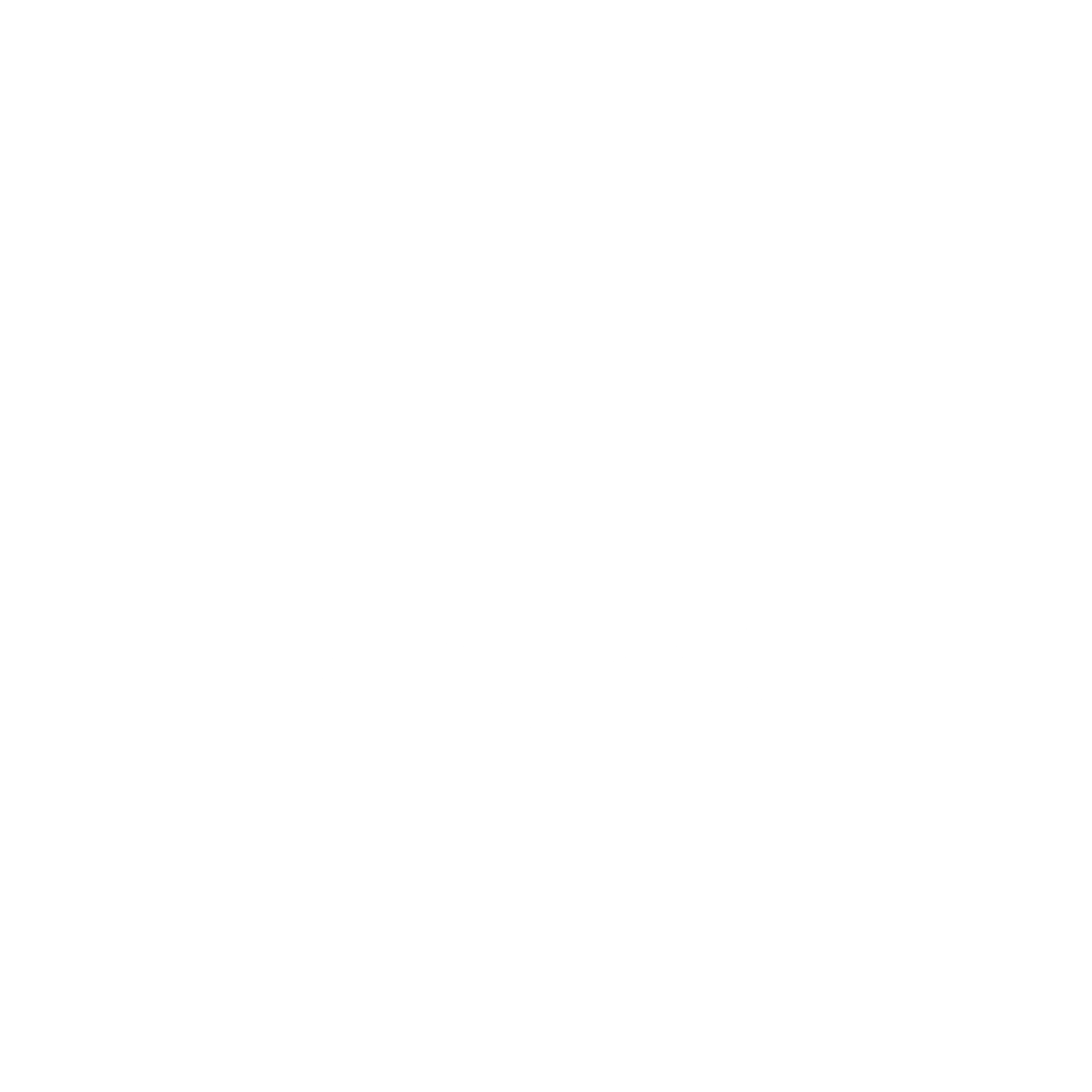 Safety Net Insurance Logo black and white
