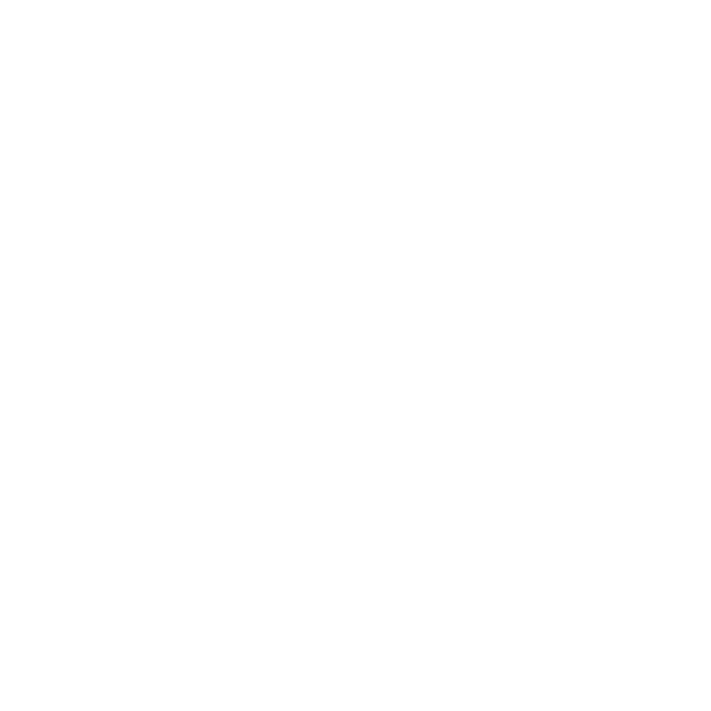 Santa Maria da Feira Logo black and white