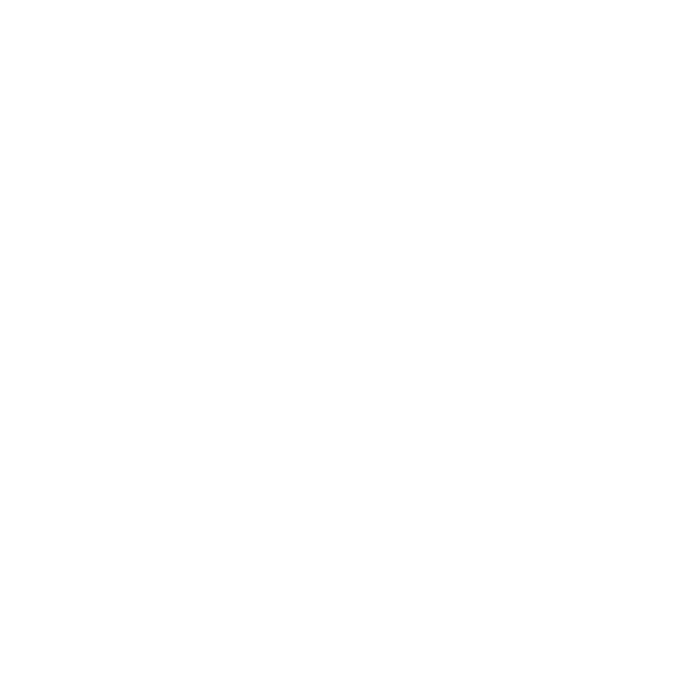 Securant Technologies Logo black and white