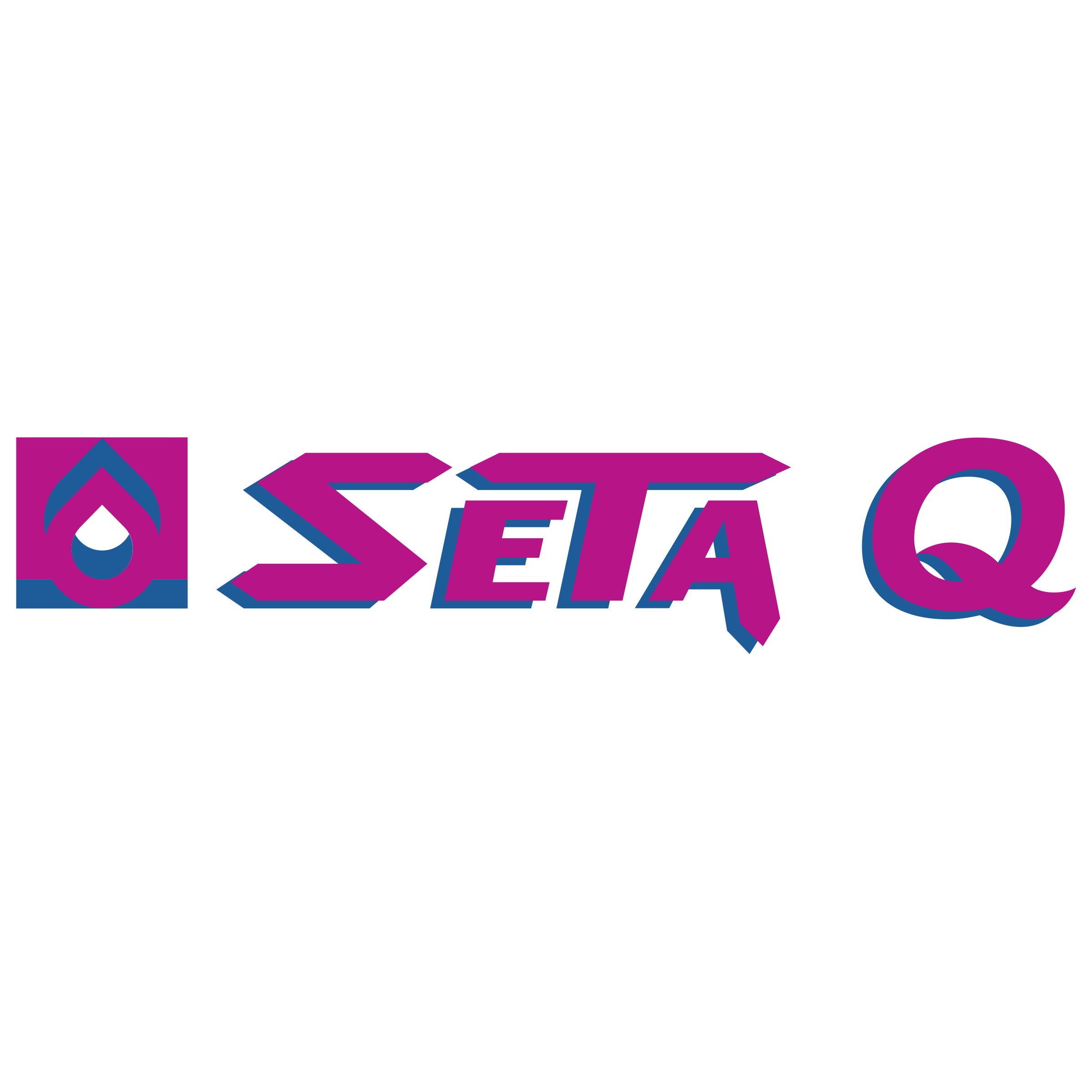 Seta Q Logo png transparent